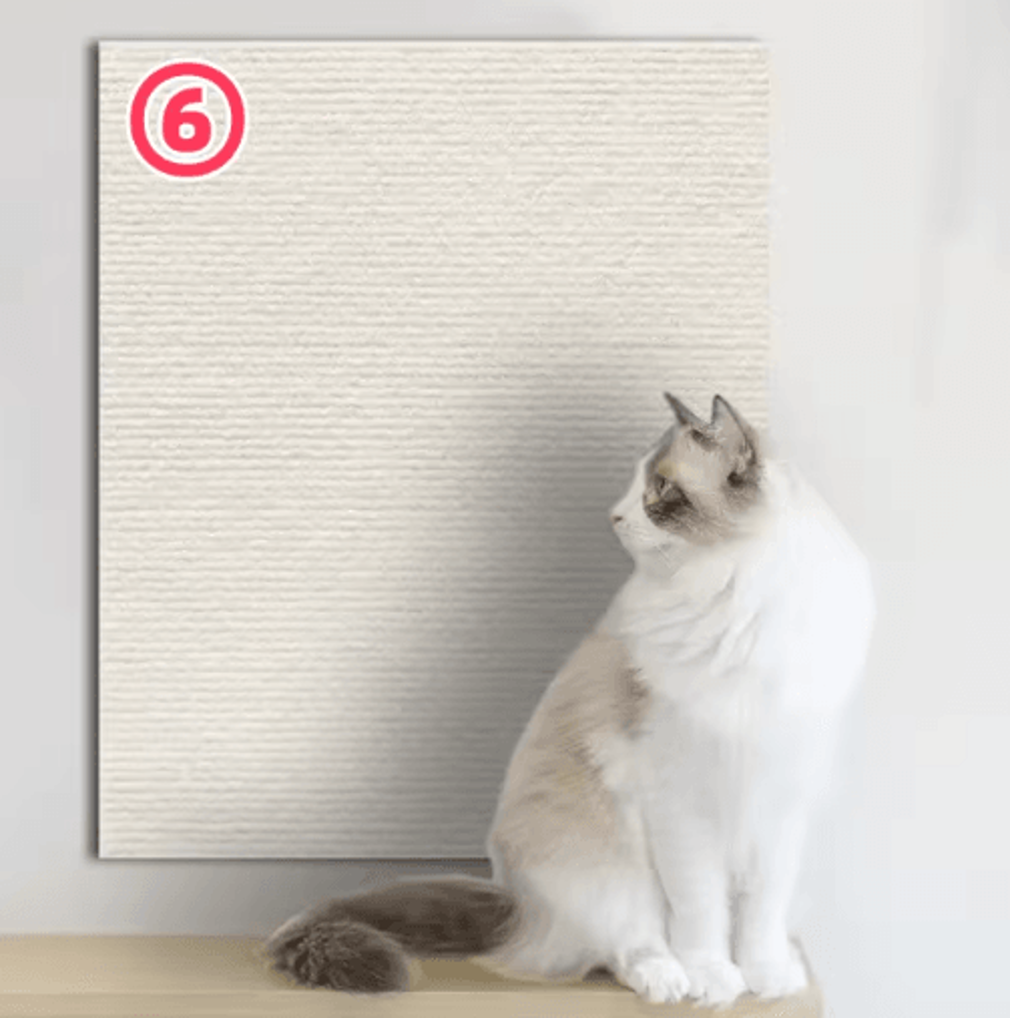 ShieldGuard SelfAdhesive Cat Scratch Furniture Protector Mat 2