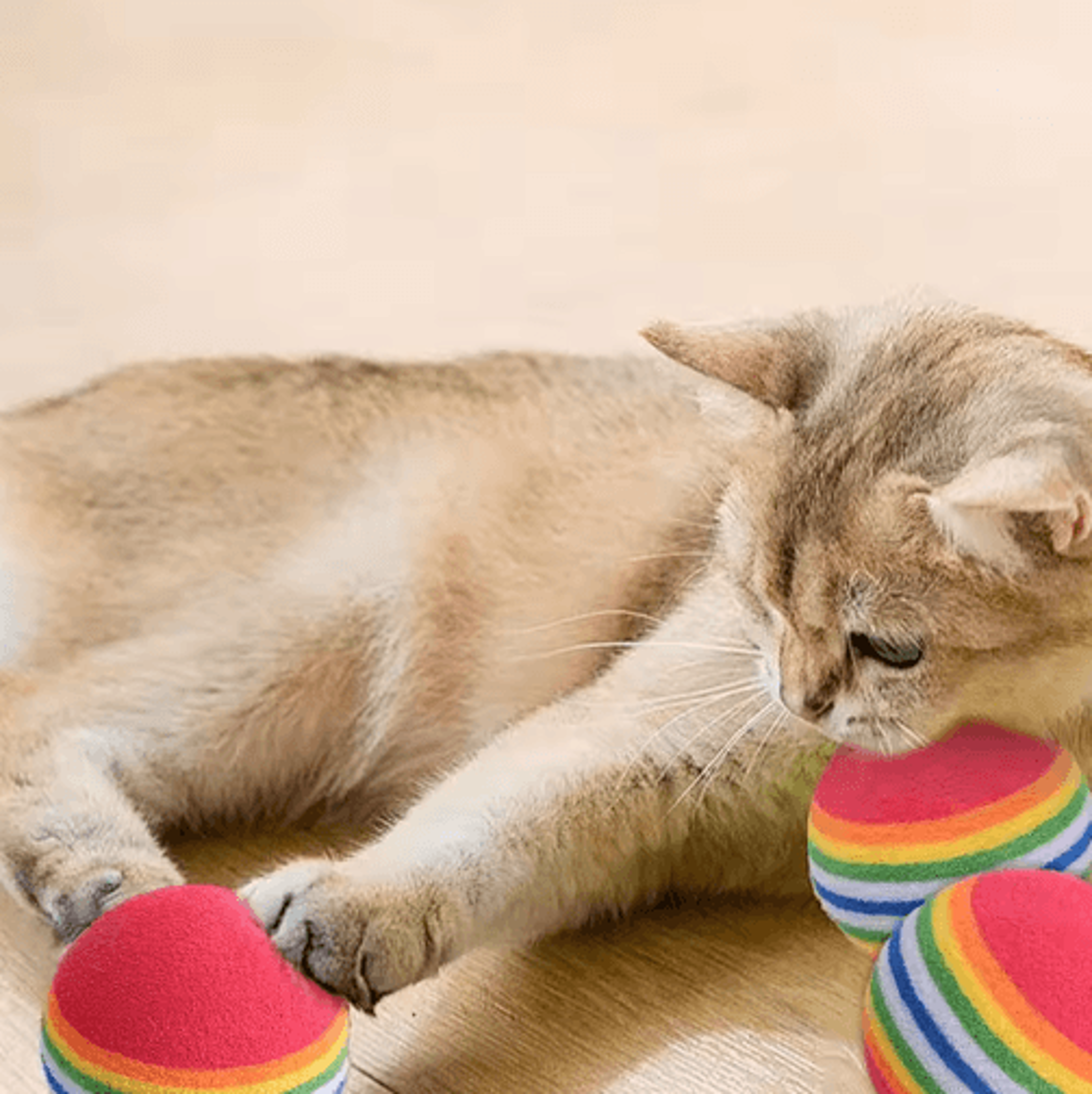 Rainbow Bounce EVA Rattle Ball Toy Set For Cats And Dogs 6
