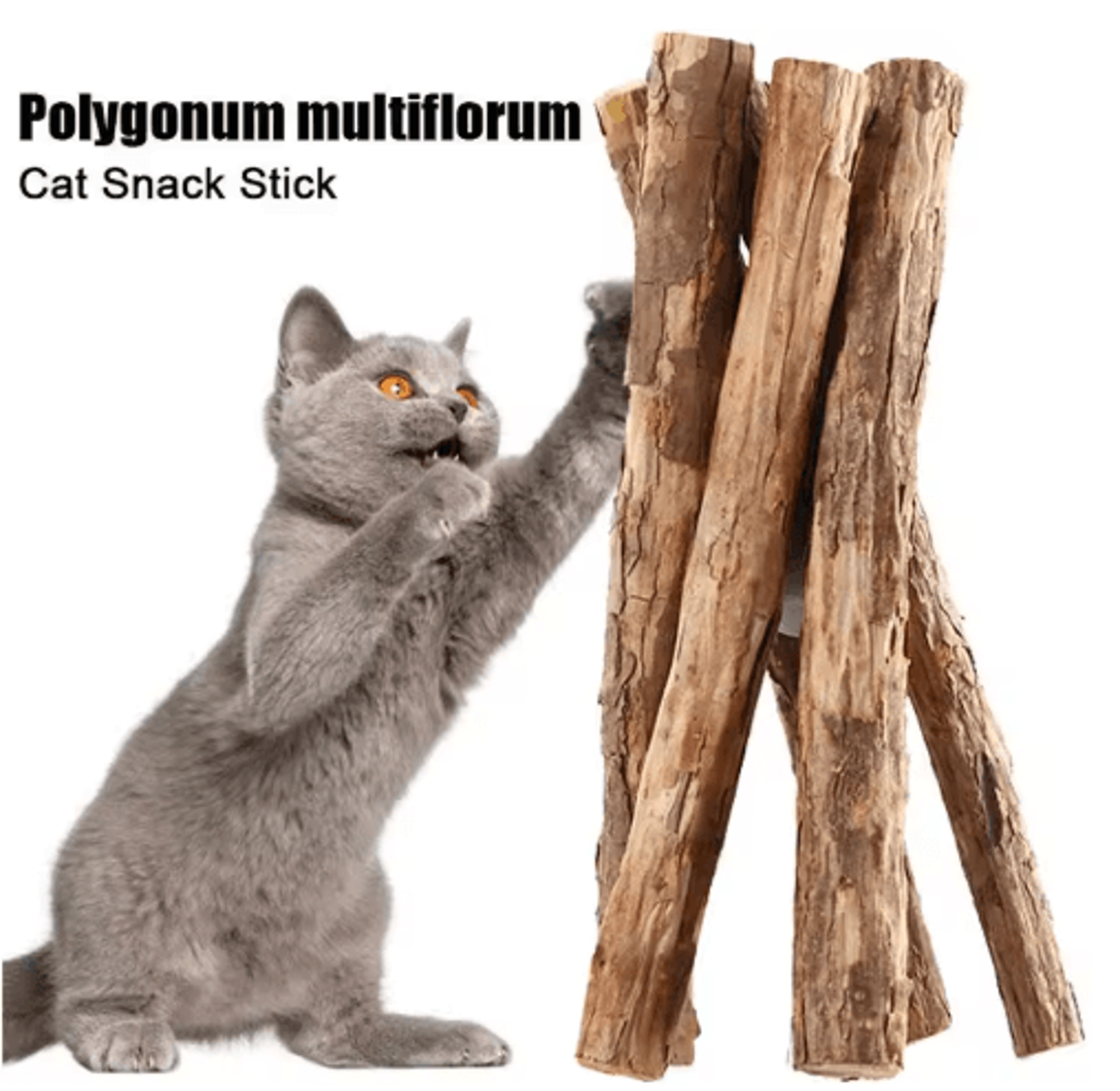 NatureChew Catnip Molar Sticks For Dental Care  Play 10