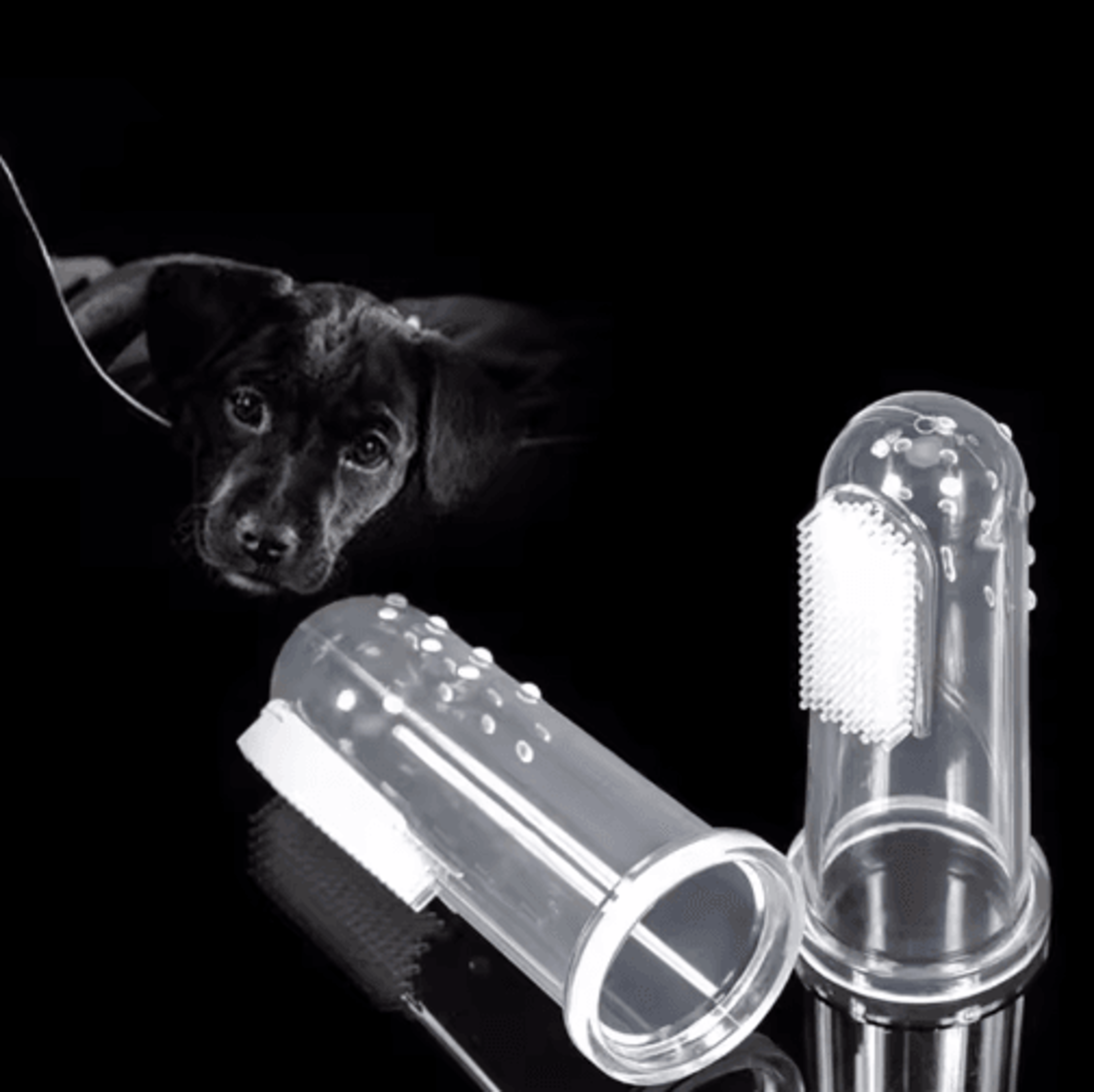 GentleSmile Soft Finger Pet Toothbrush For Dogs  Cats 5
