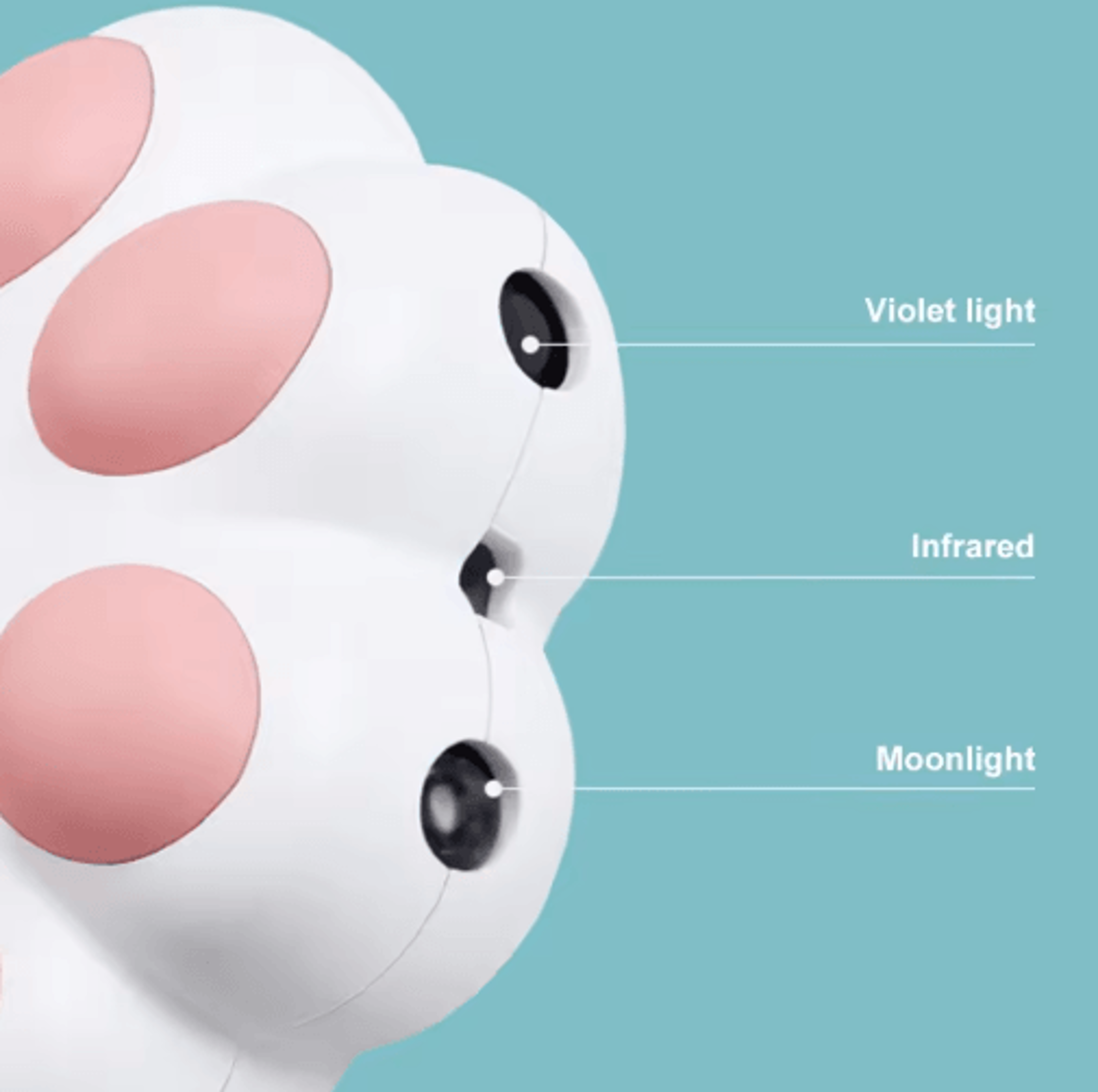 LaserPounce USB Rechargeable Interactive Cat Laser Toy 4