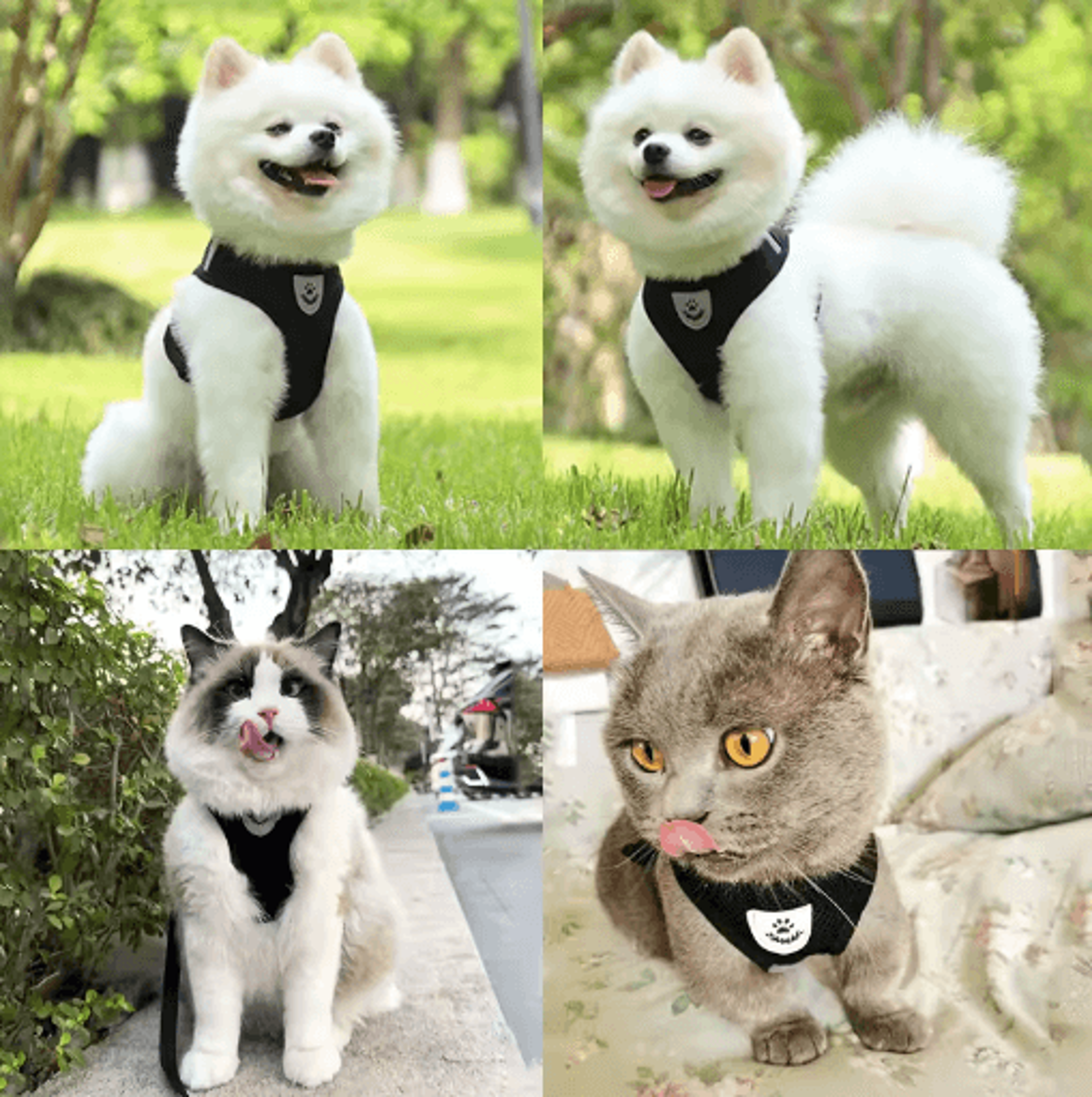 EscapeProof Reflective Cat Harness  Leash Set  Adjustable Safety Vest For Cats And Small Dogs 6
