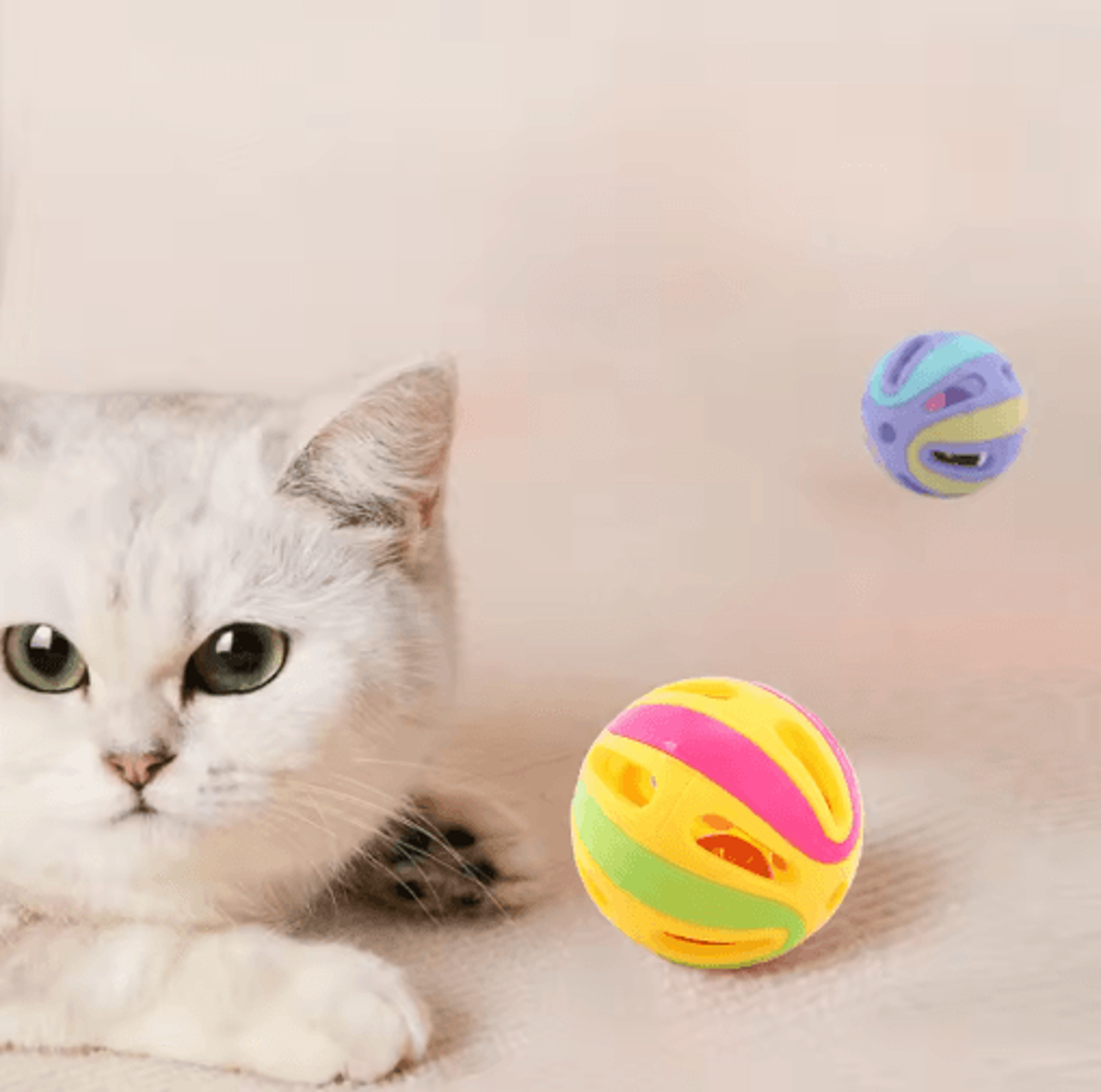 Jingle Chase Bell Ball Cat Toy Set Colorful Interactive Rolling Balls For Curious Cats  Kittens 3