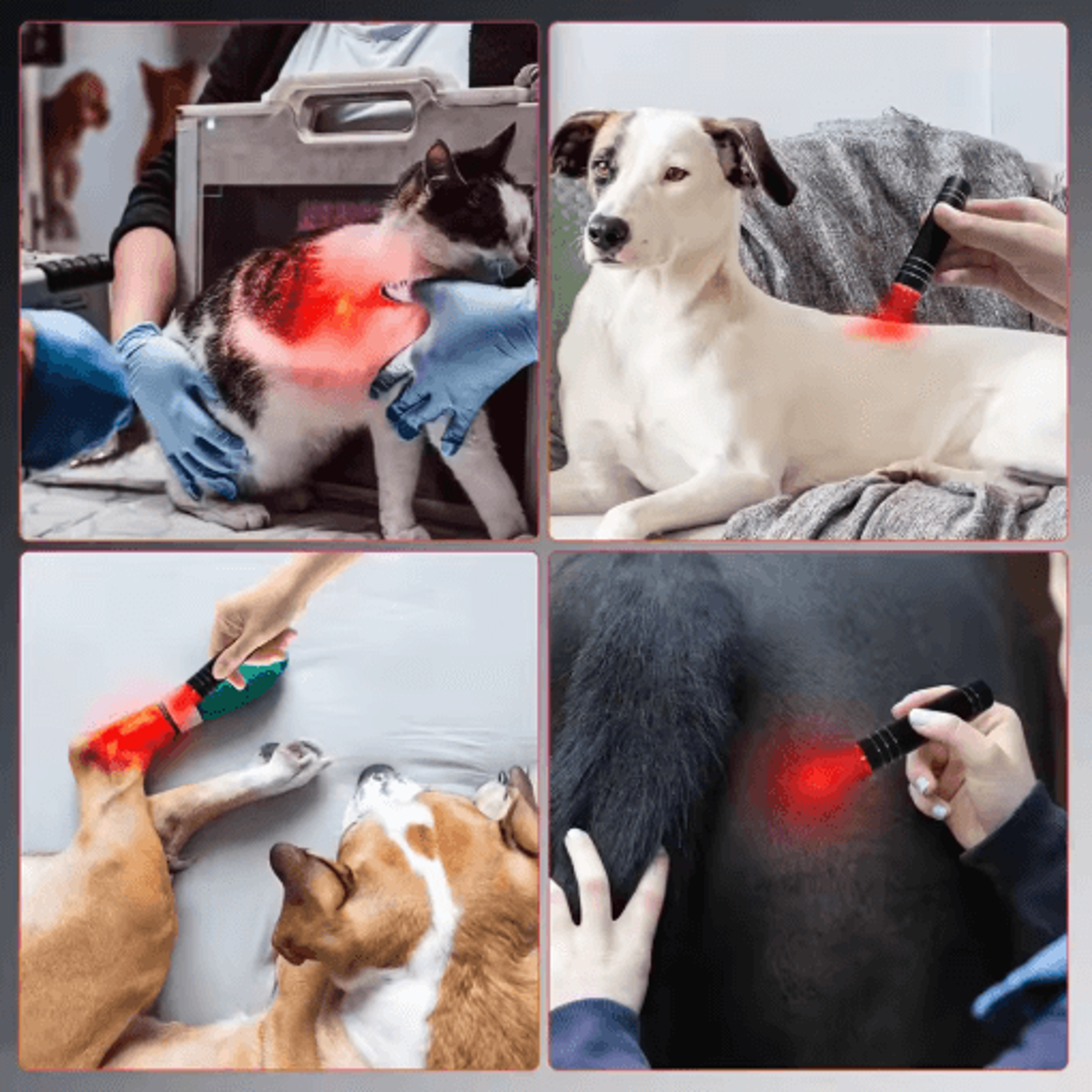 Professional Red  Blue LED Light Therapy Flashlight  Portable Handheld Light Device 2