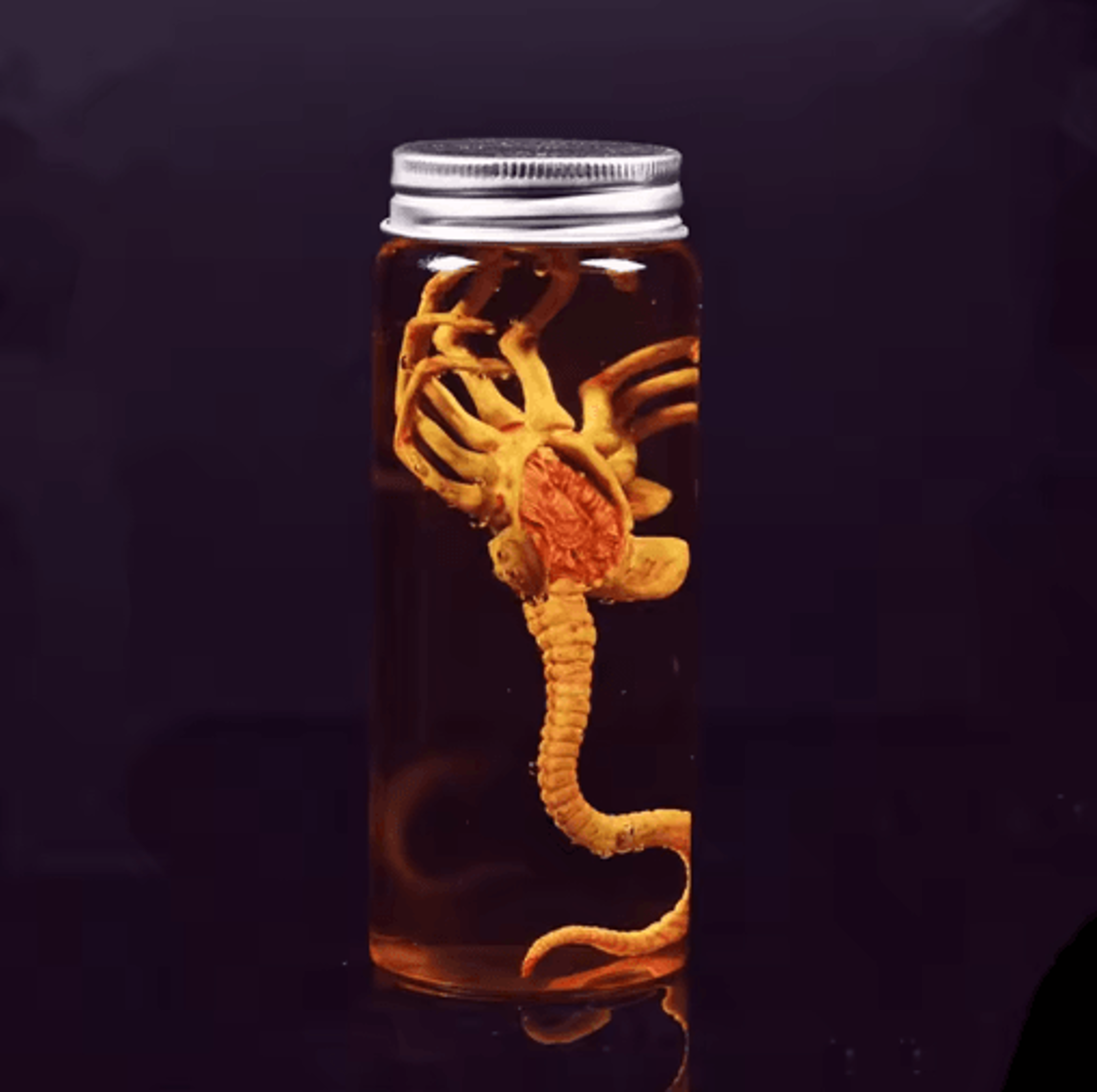xenomorph facehugger specimen jar sci-fi prop replica