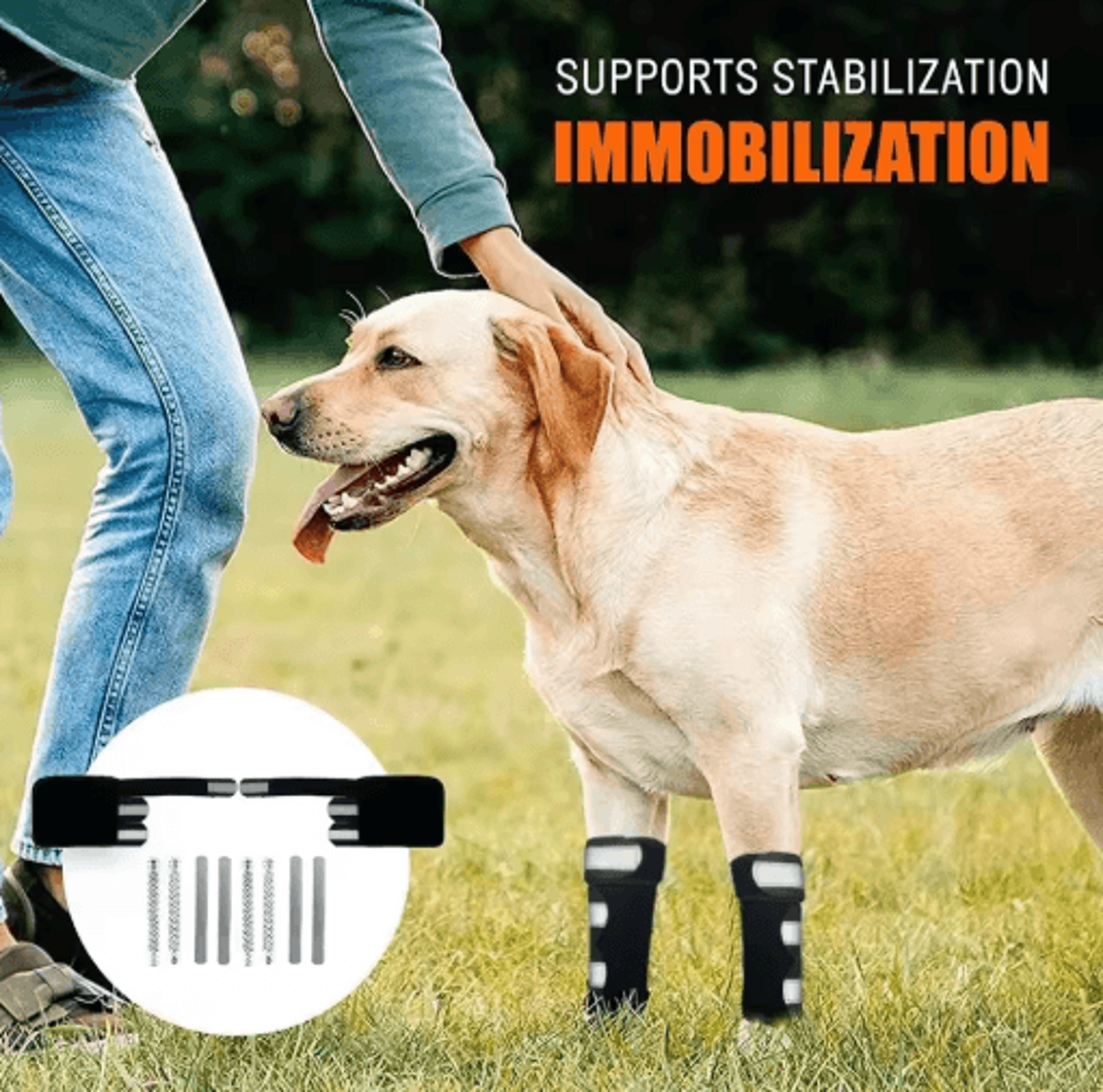adjustable dog front leg brace with metal support strips