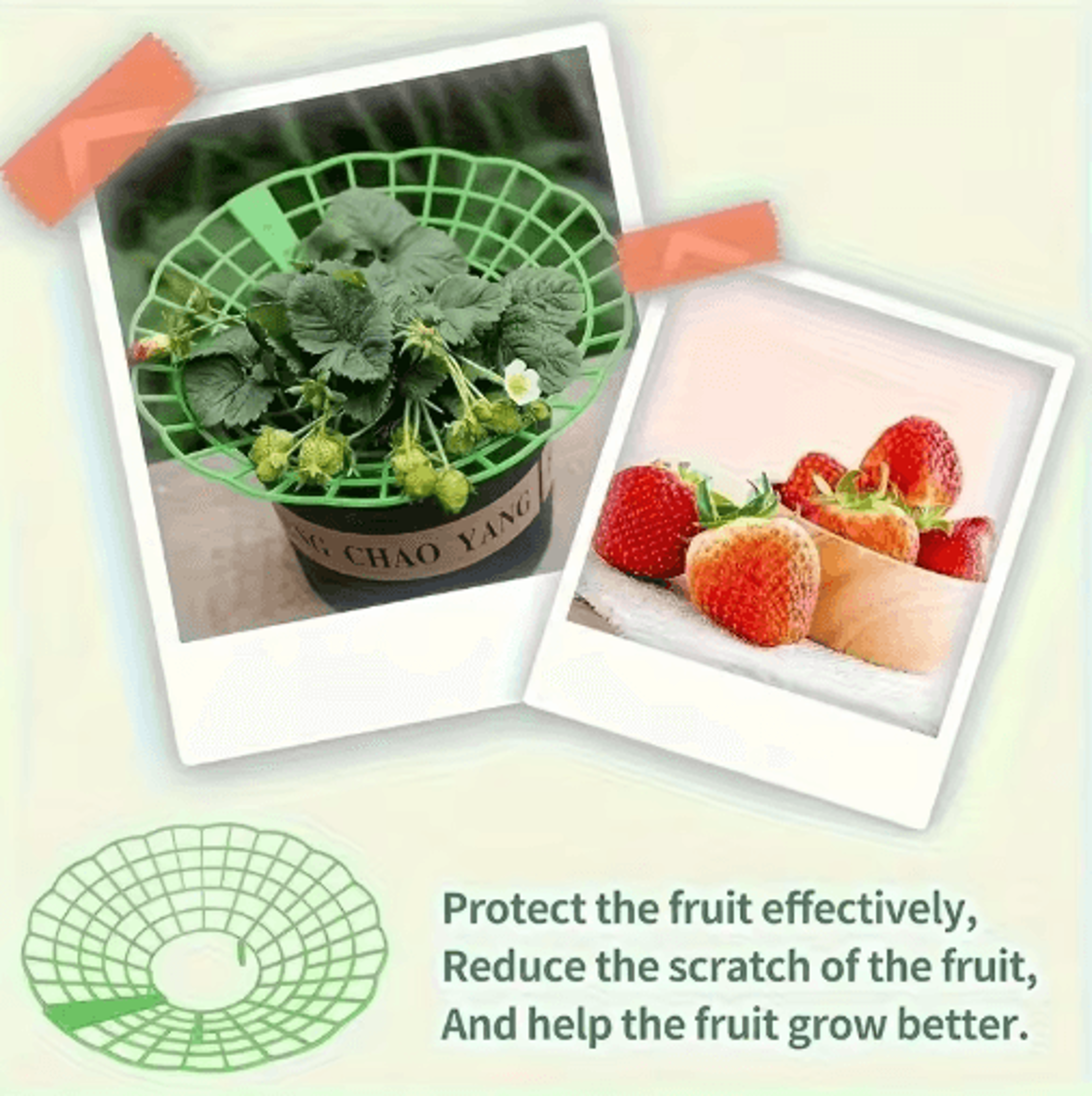 612Piece Strawberry Plant Support Cages 4