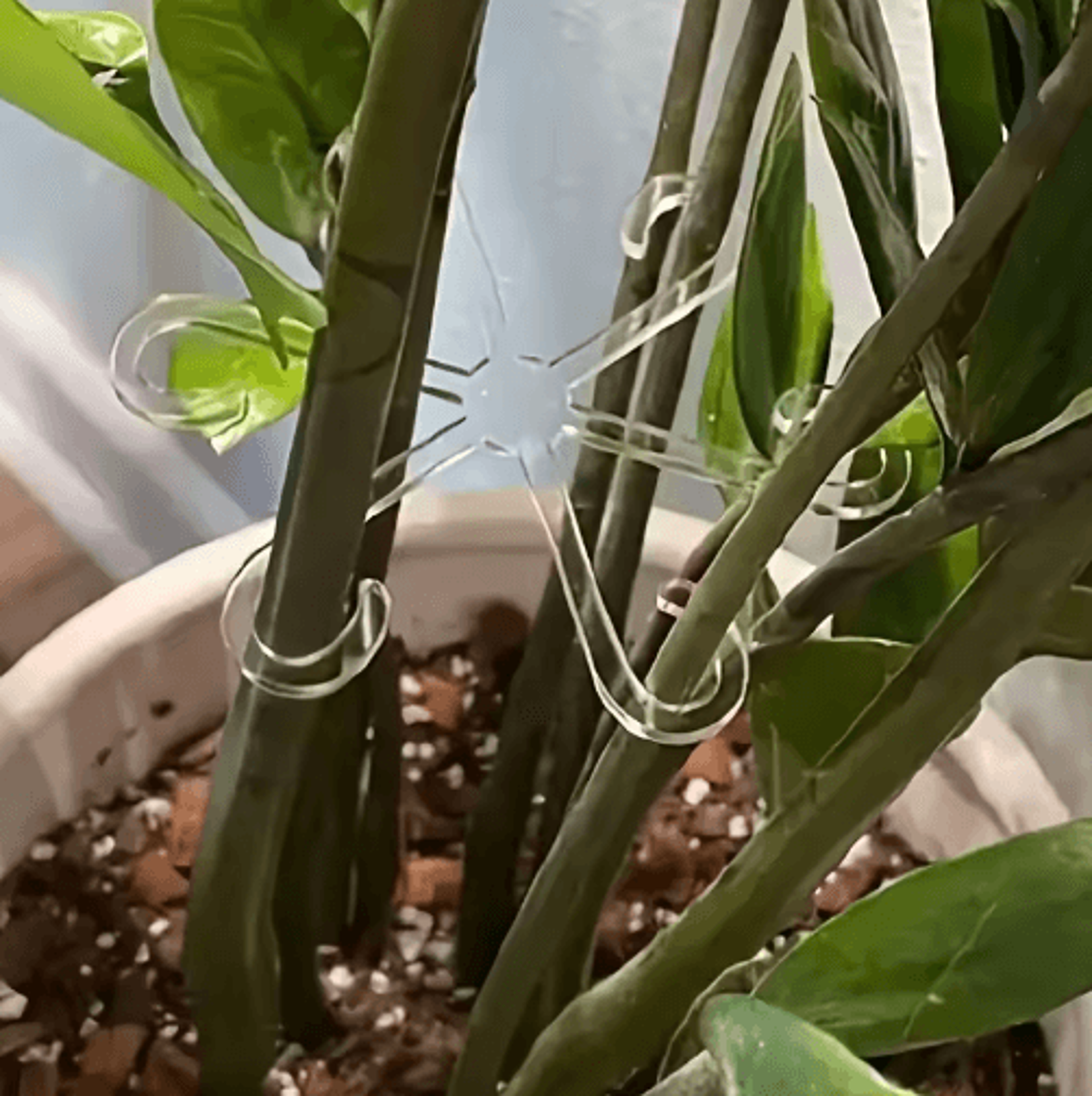 4Pcs Transparent UShaped Plant Support Stakes  Foldable Garden Supports For Potted Plants 5