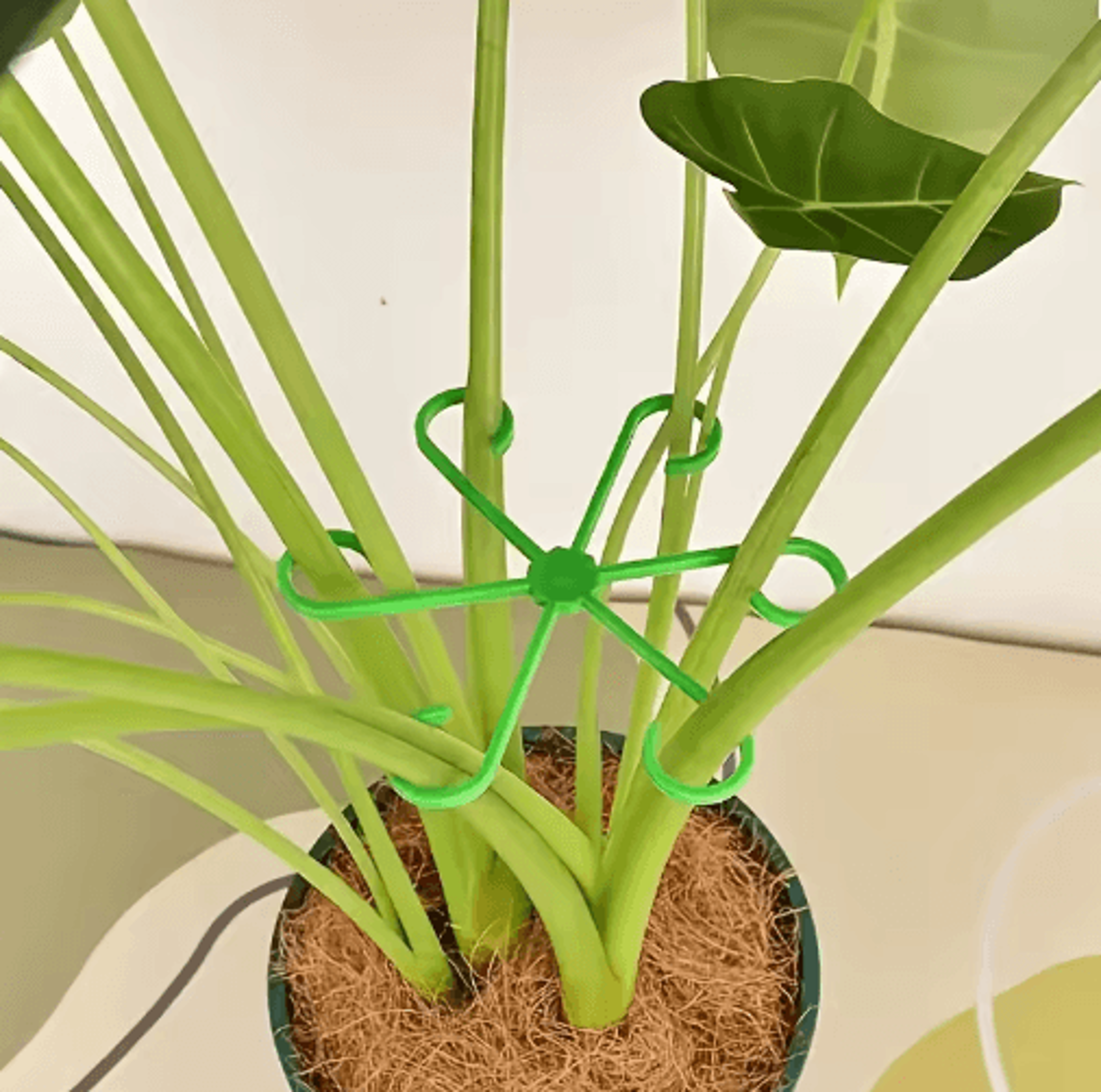 4Pcs Transparent UShaped Plant Support Stakes  Foldable Garden Supports For Potted Plants 4