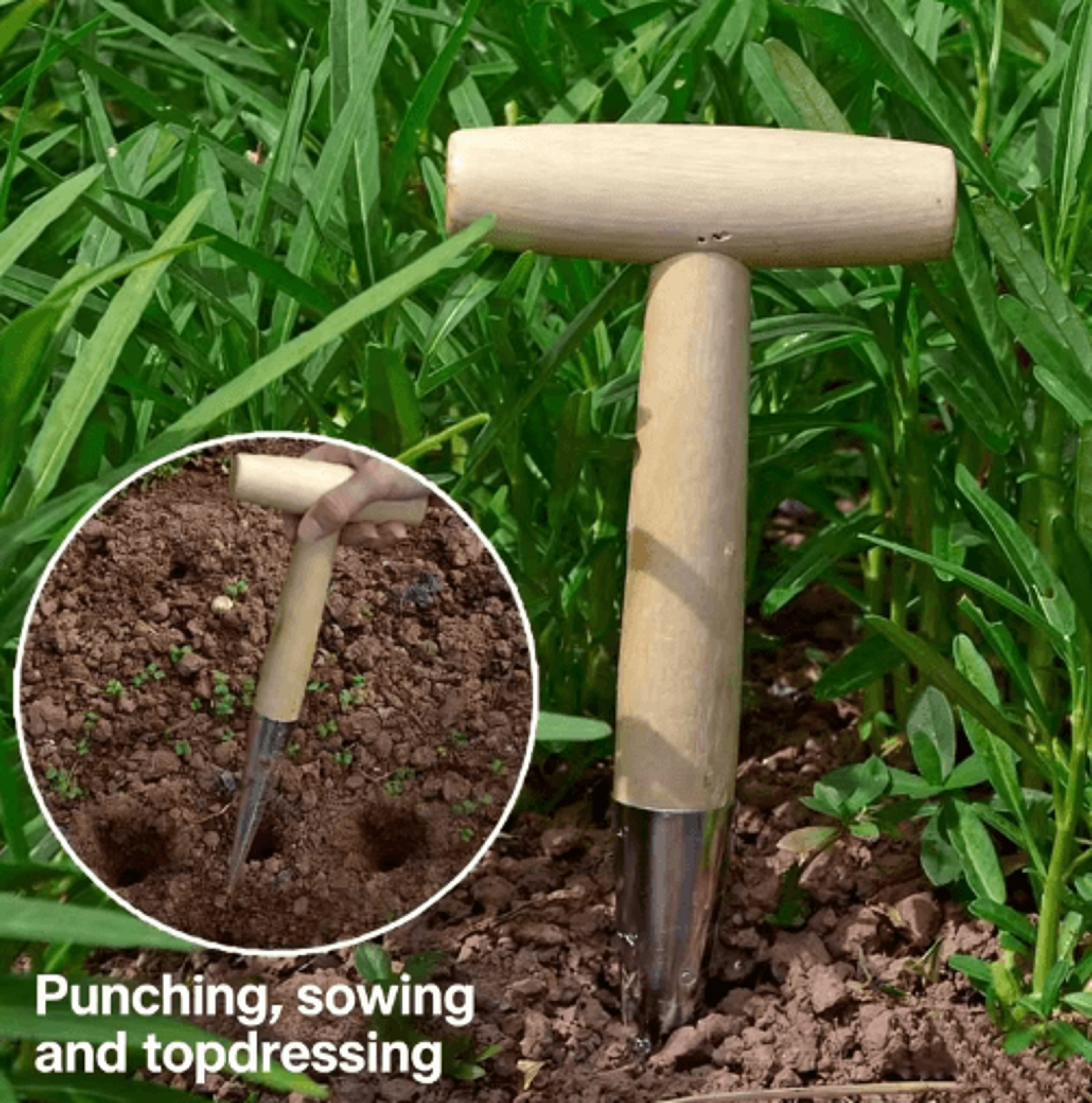 wood handle garden hole puncher – scaled seed planting & transplanting tool