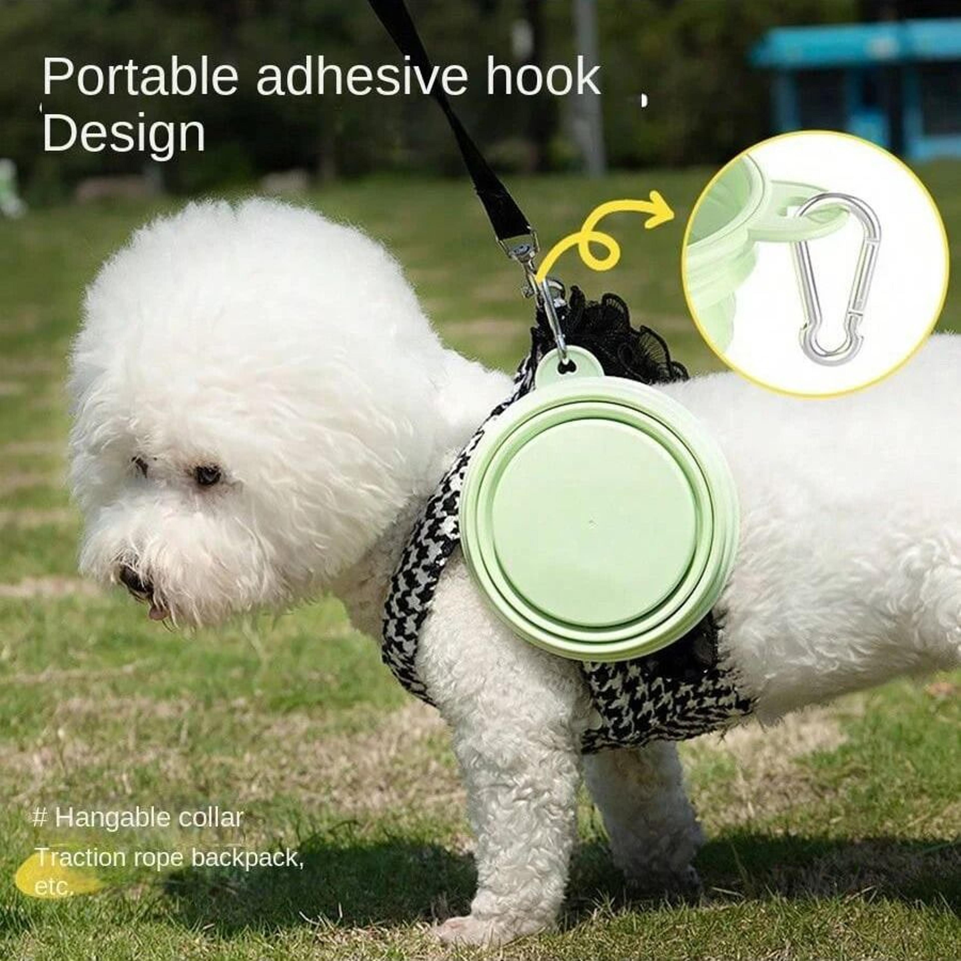portable foldable dog travel bowl with carabiner 350ml for pets on the go