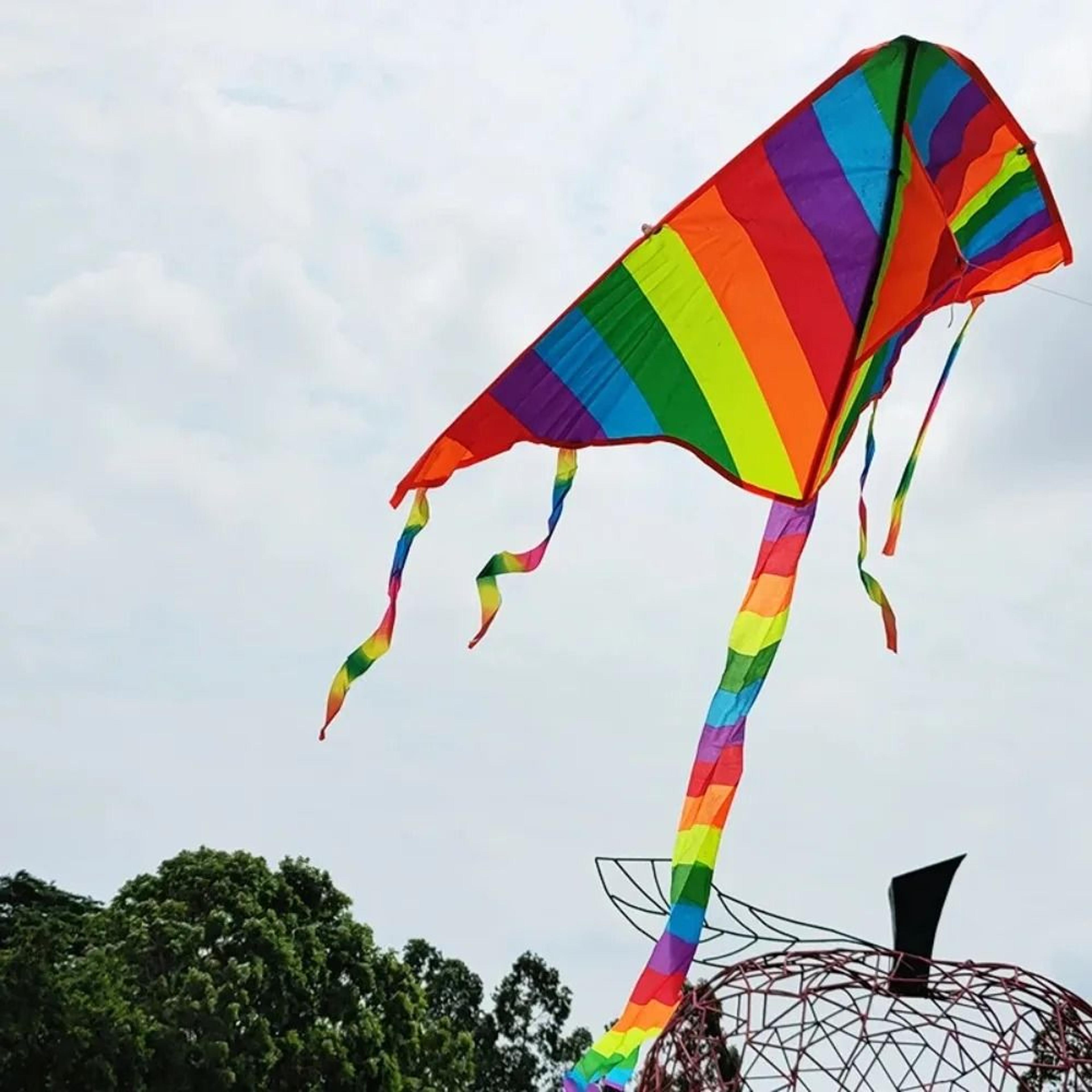 Easy Flying Rainbow Kite With Long Tail Outdoor Kids Toy 3