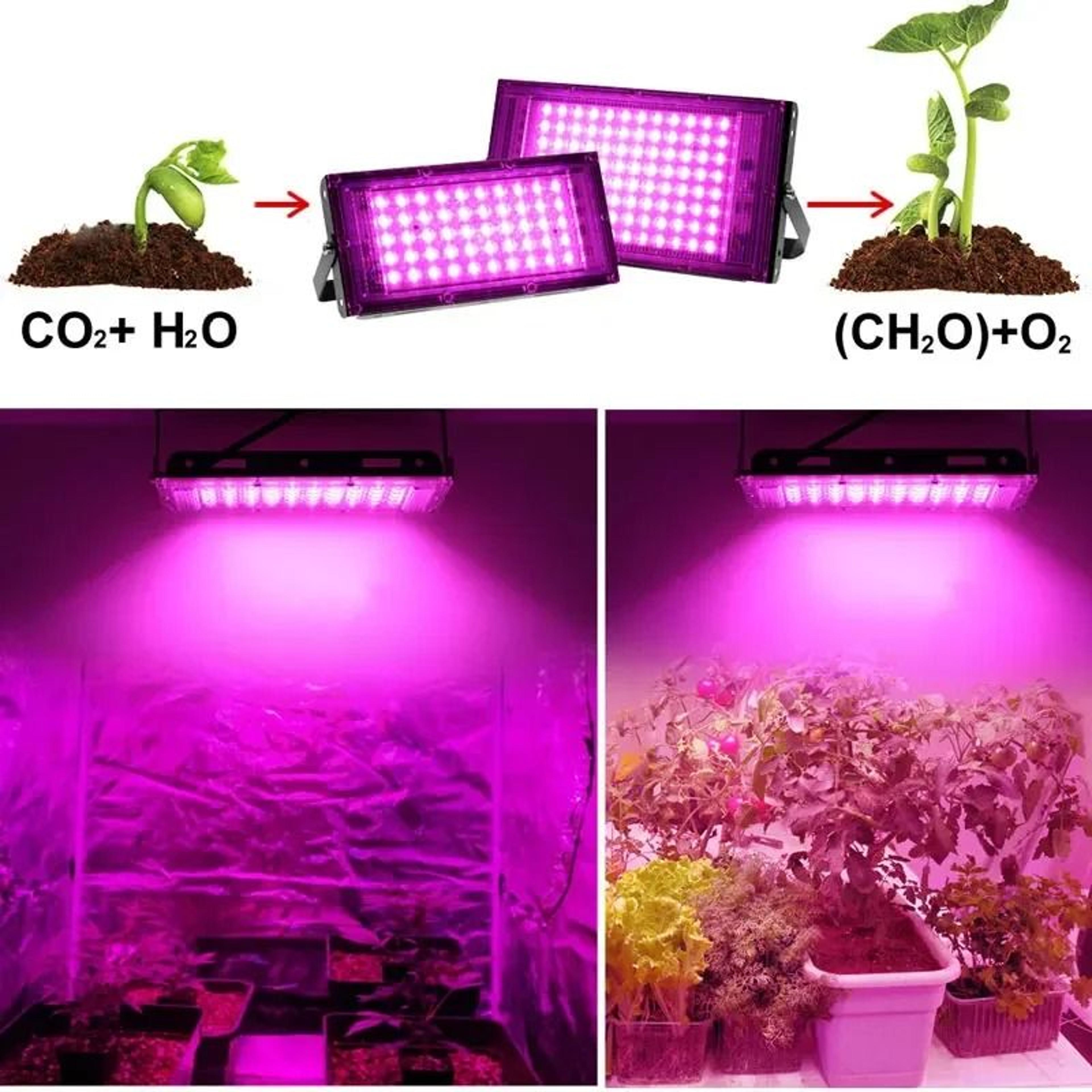 full spectrum led grow light bulb 50w 100w 300w indoor plant grow lamp for healthy growth