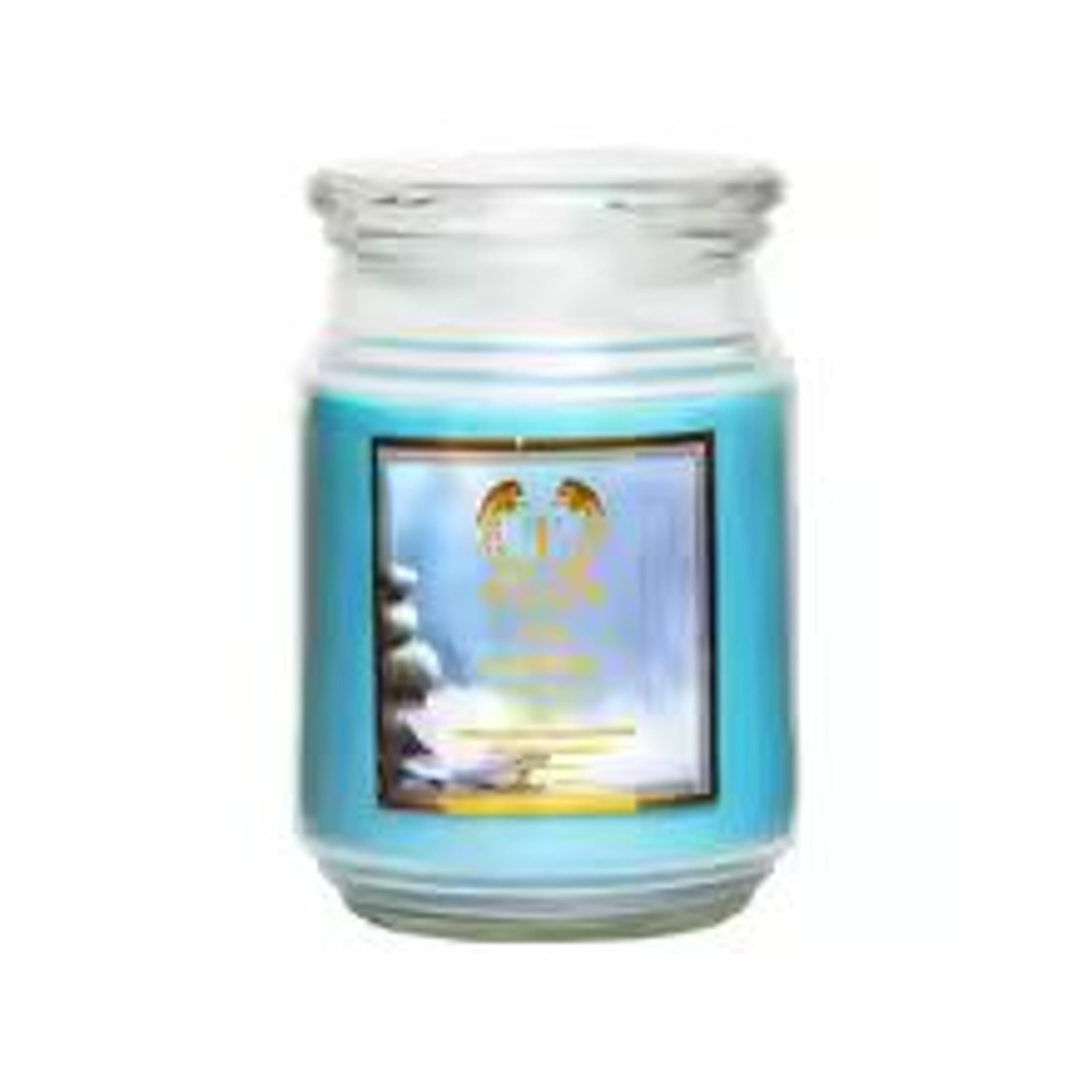 18oz Aroma Scented Candle Gift Luxury Scented Candle For Women Relaxing Home Fragrance 7