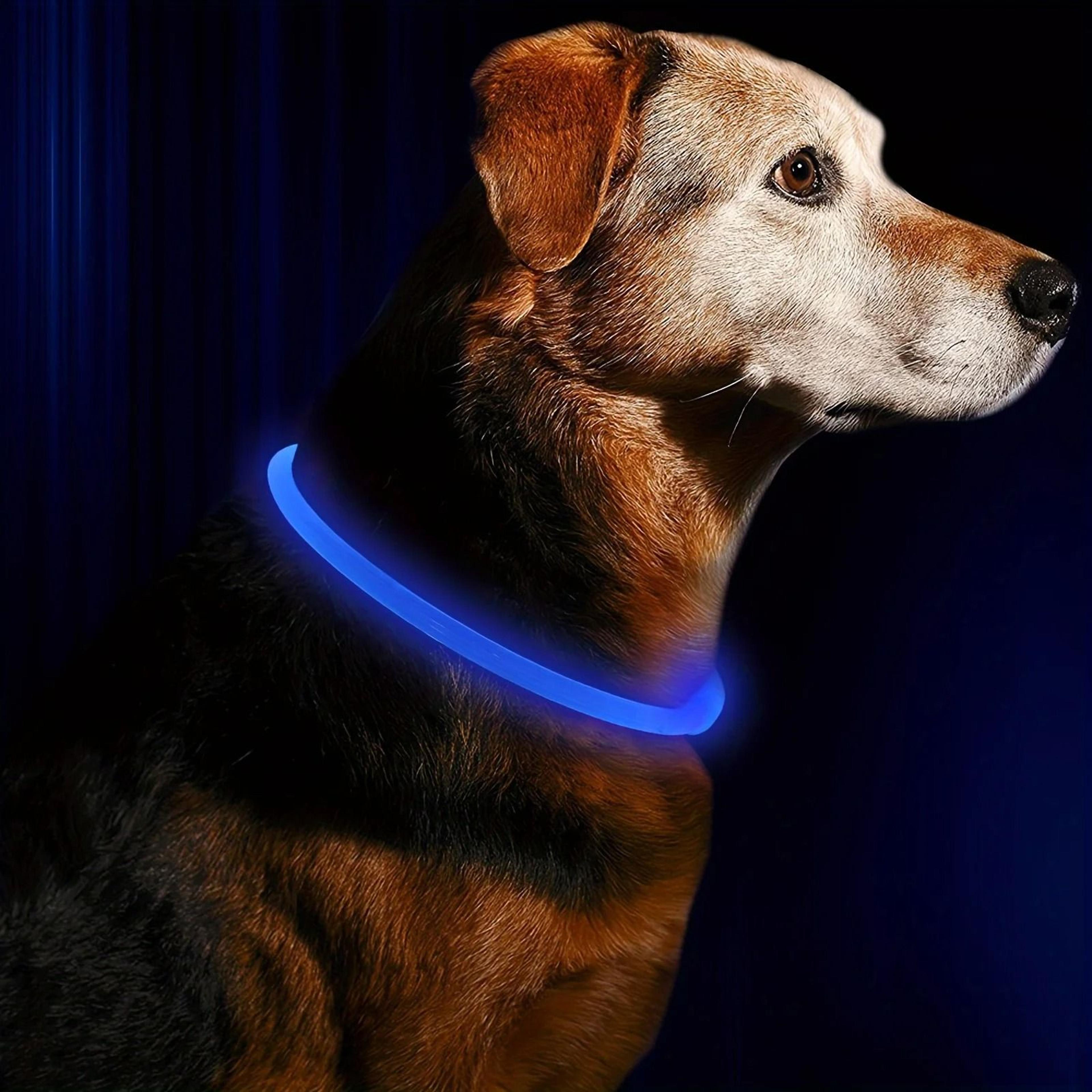 LED Dog Collar Rechargeable Glow Night Safety Luminous Pet Collar For Dogs 3