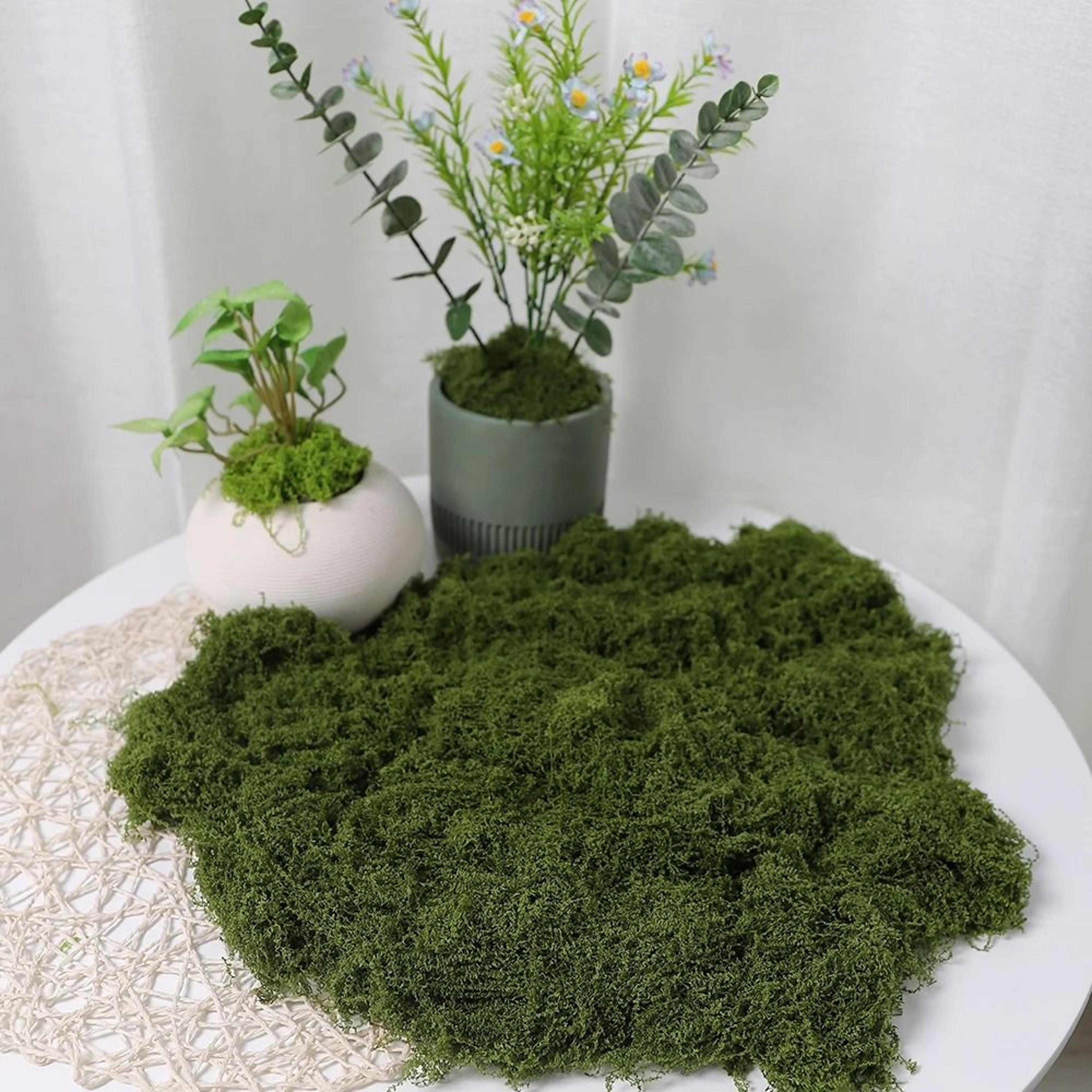 Artificial Moss Decor Faux Preserved Green Moss For DIY Crafts And Home Styling 6