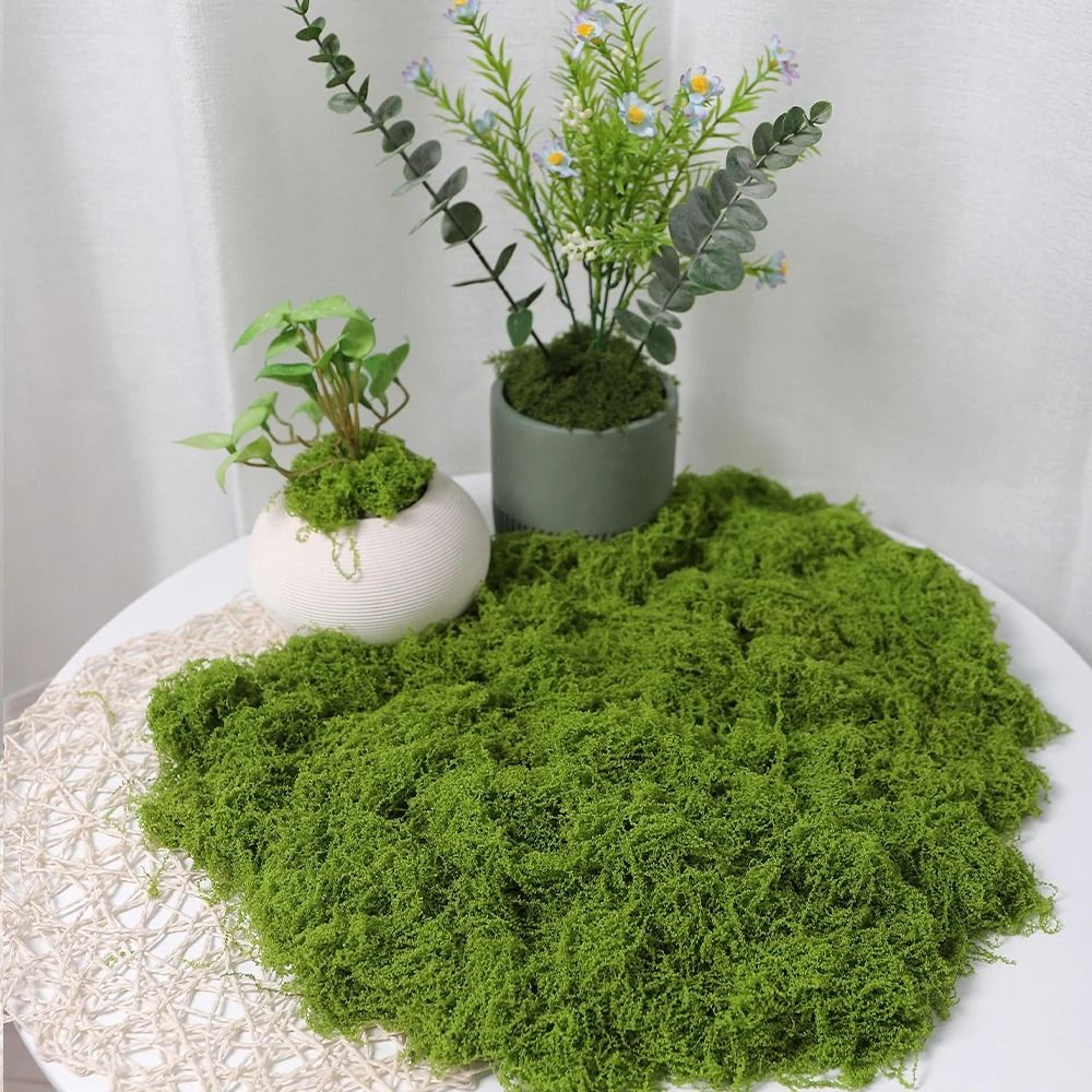 Artificial Moss Decor Faux Preserved Green Moss For DIY Crafts And Home Styling 5