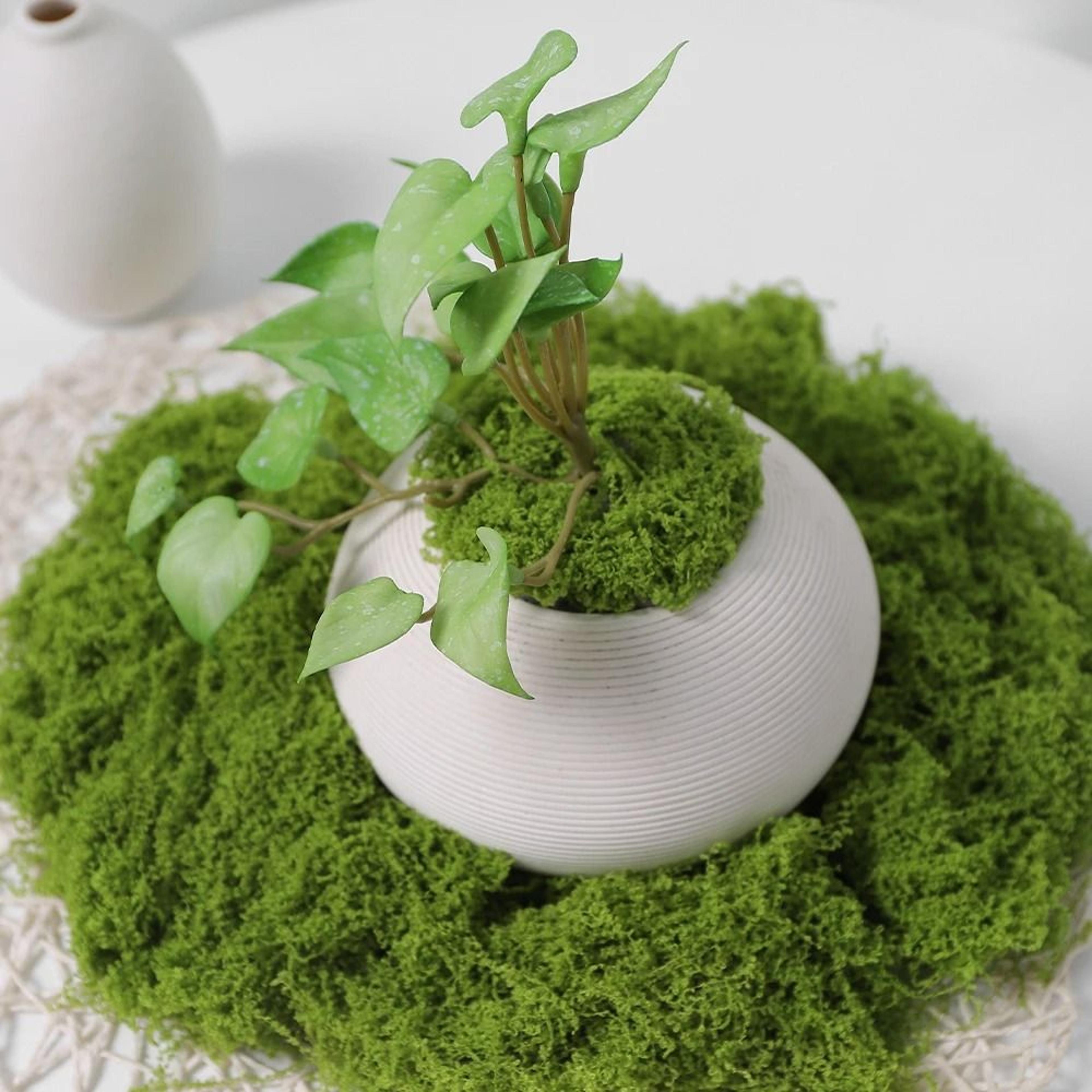 Artificial Moss Decor Faux Preserved Green Moss For DIY Crafts And Home Styling 9