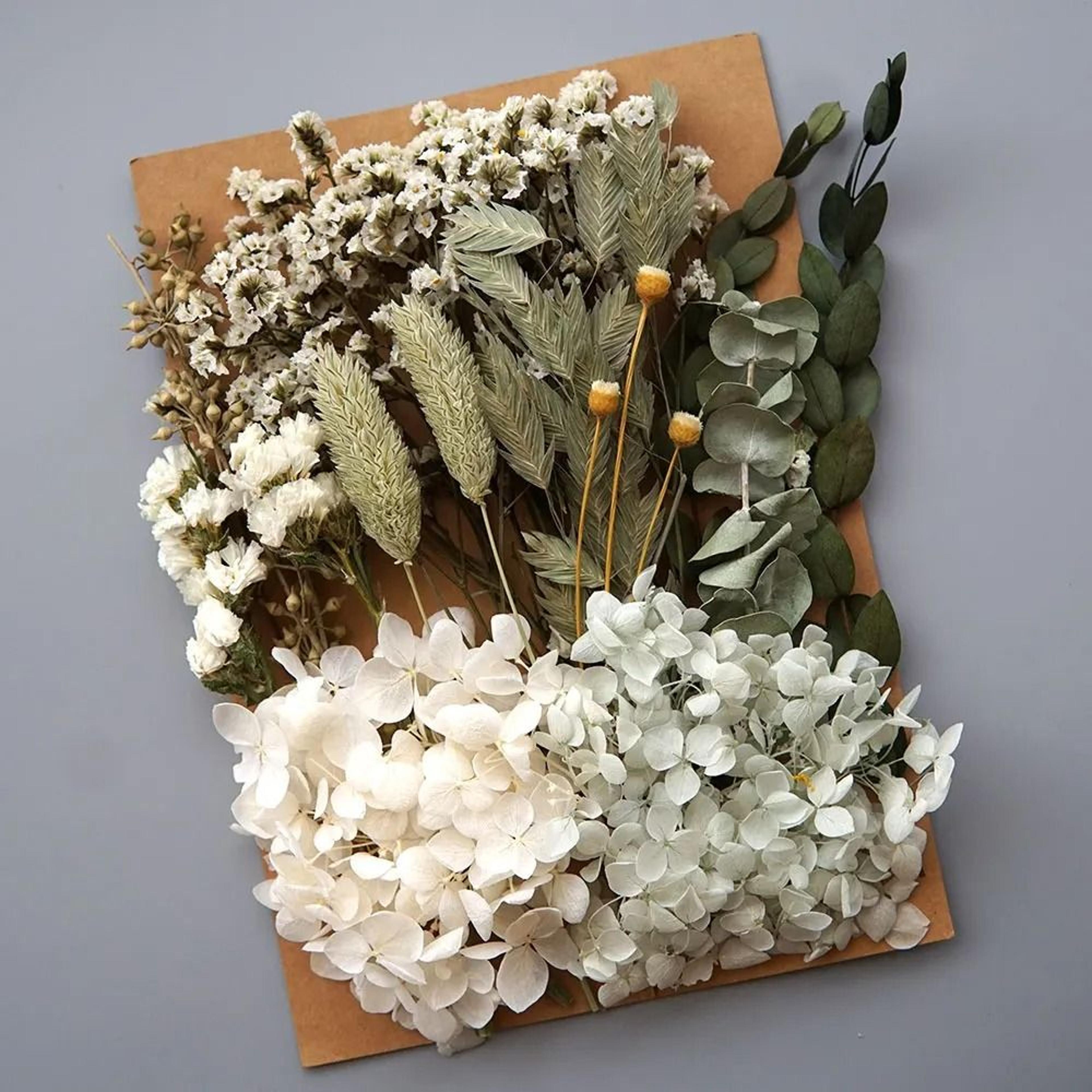 preserved hydrangea dried flowers set for resin crafts candle making and diy decor