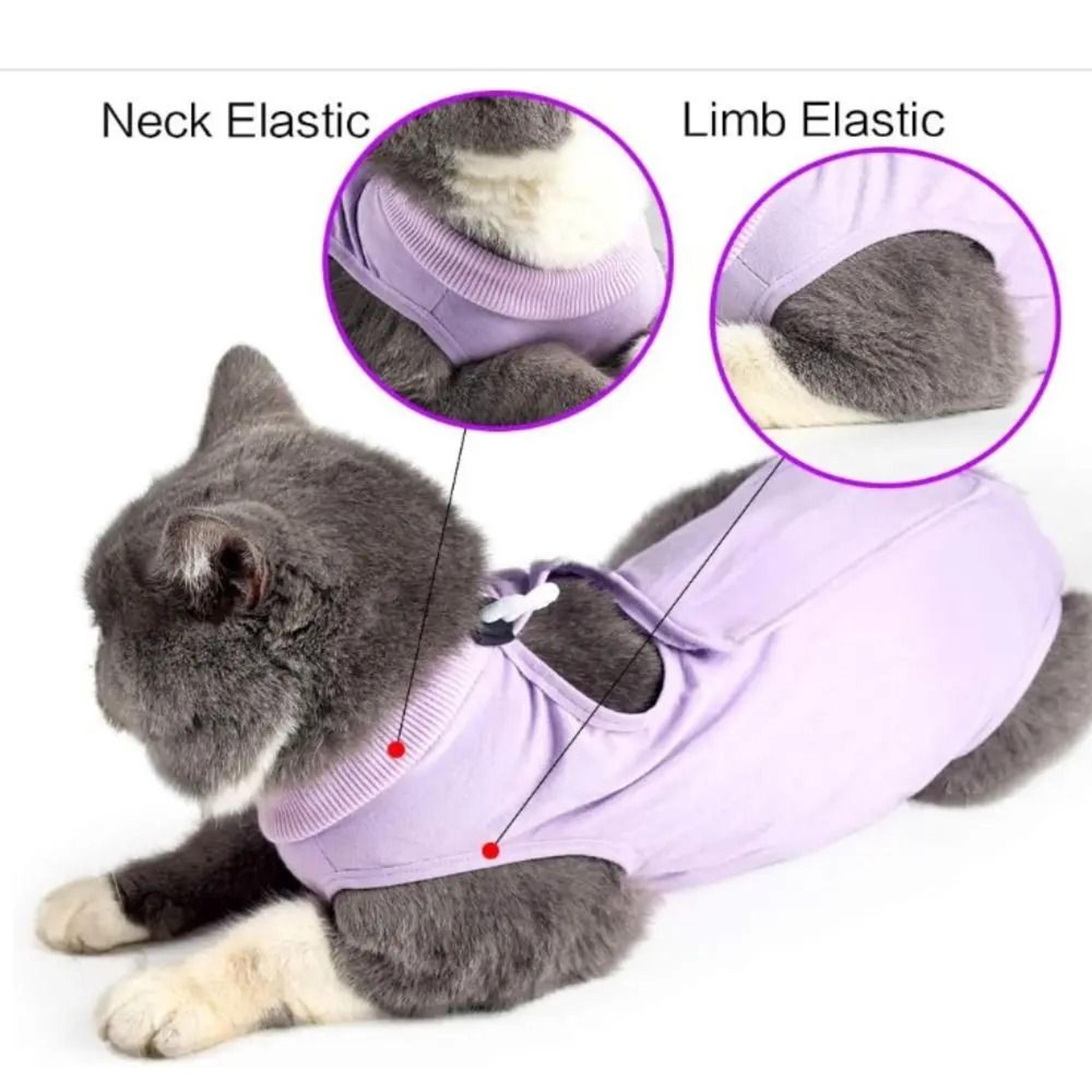 Cat Recovery Suit Anti Licking Surgery Vest For Kittens 6