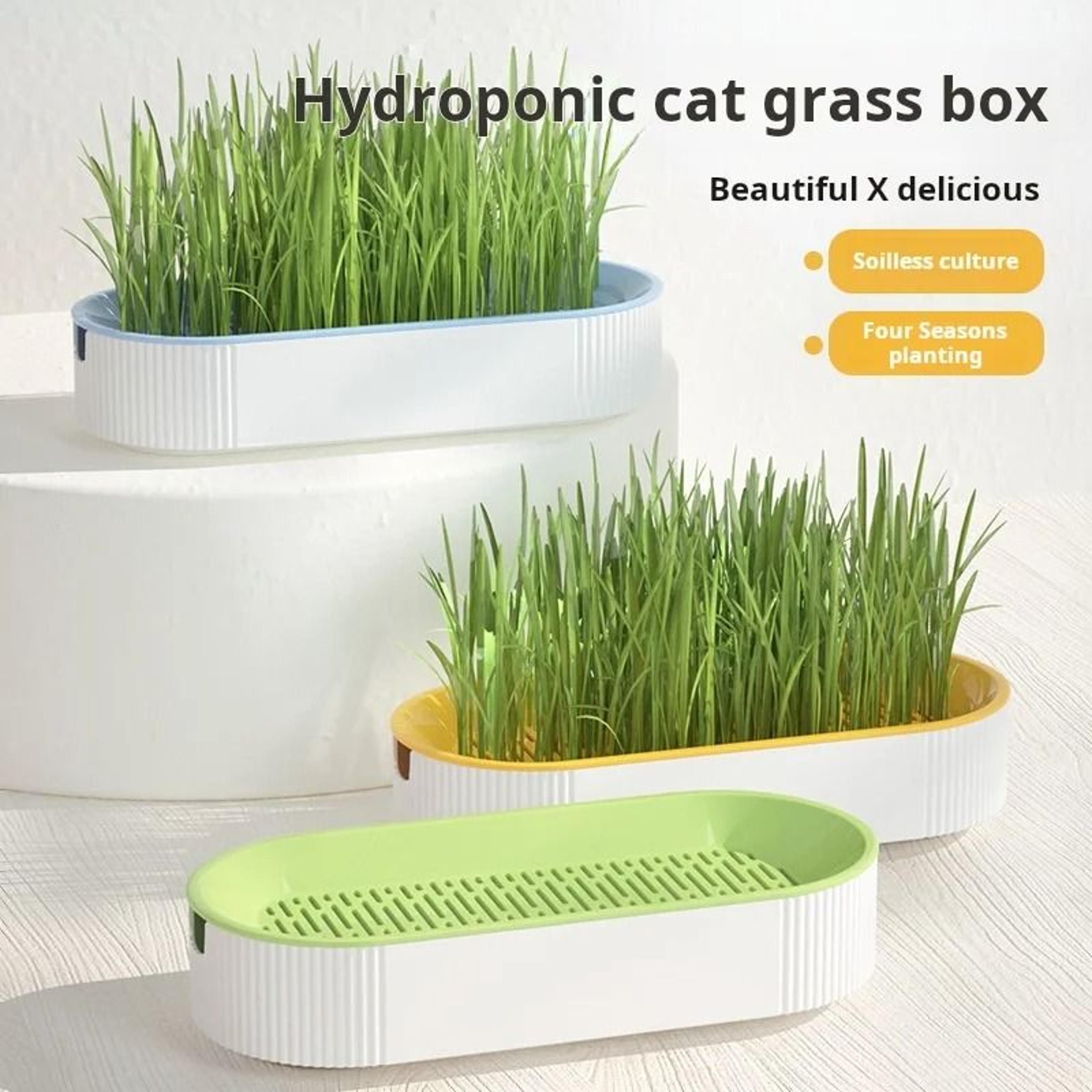Hydroponic Cat Grass Kit For Indoor Cats 6