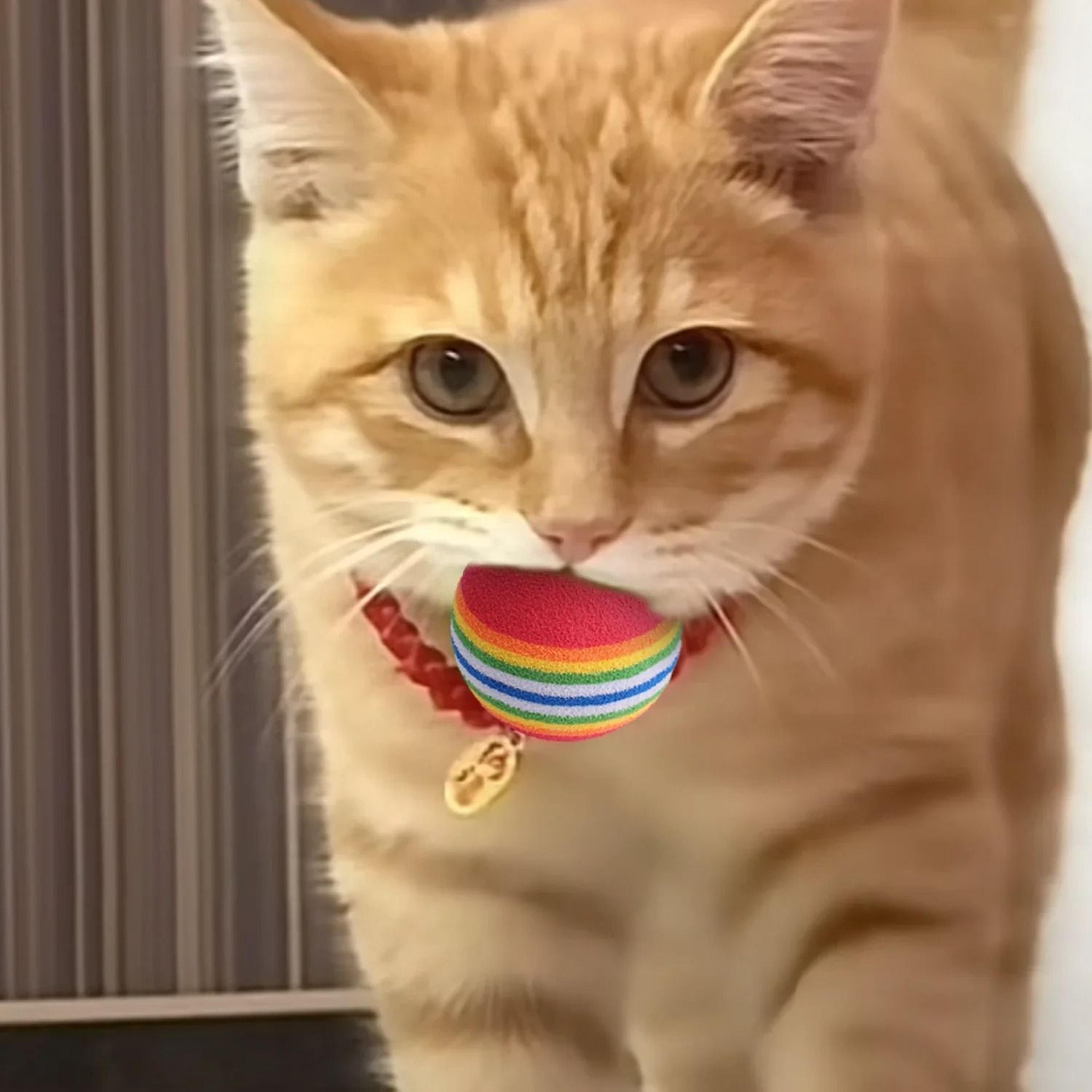 Colorful EVA Cat Toy Balls For Chewing Chasing Training And Interactive Play 7