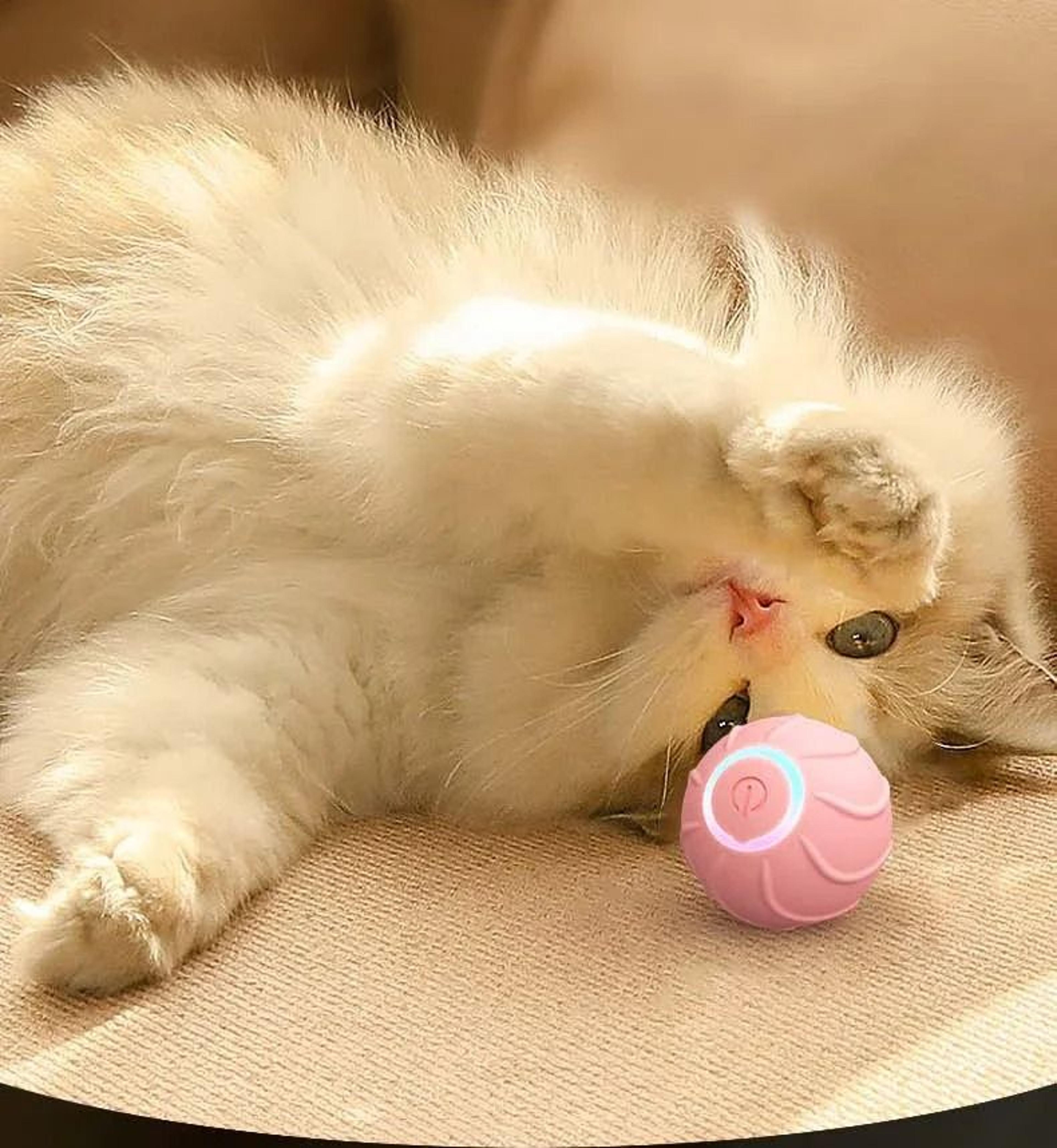 USB Rechargeable Smart Cat Rolling Ball For Automatic Bouncing And Indoor Play 6
