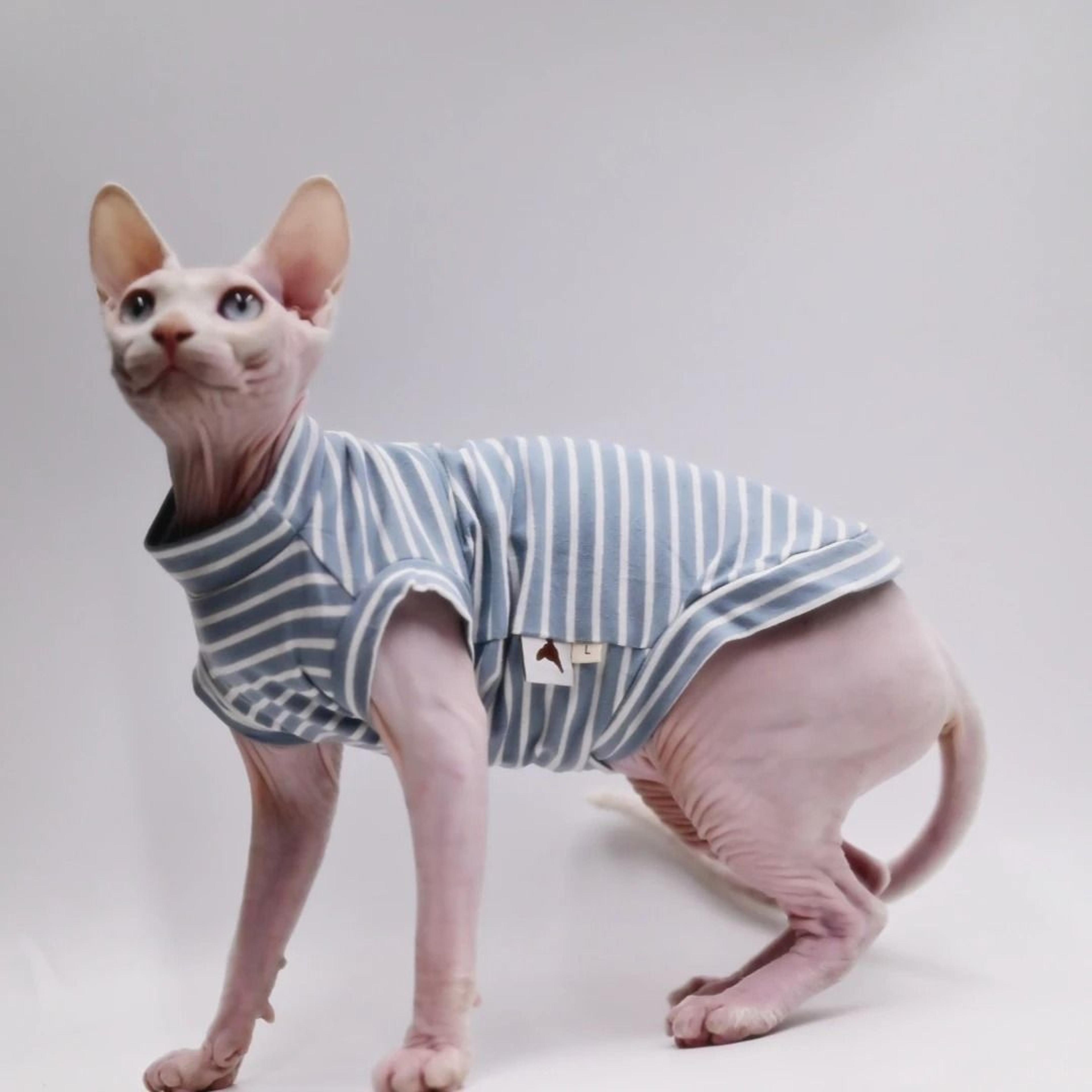 DUOMASUMI Summer Sphynx Cat Vest Stretch Cotton Cooling Top For Hairless Cats Daily Comfort Wear 3