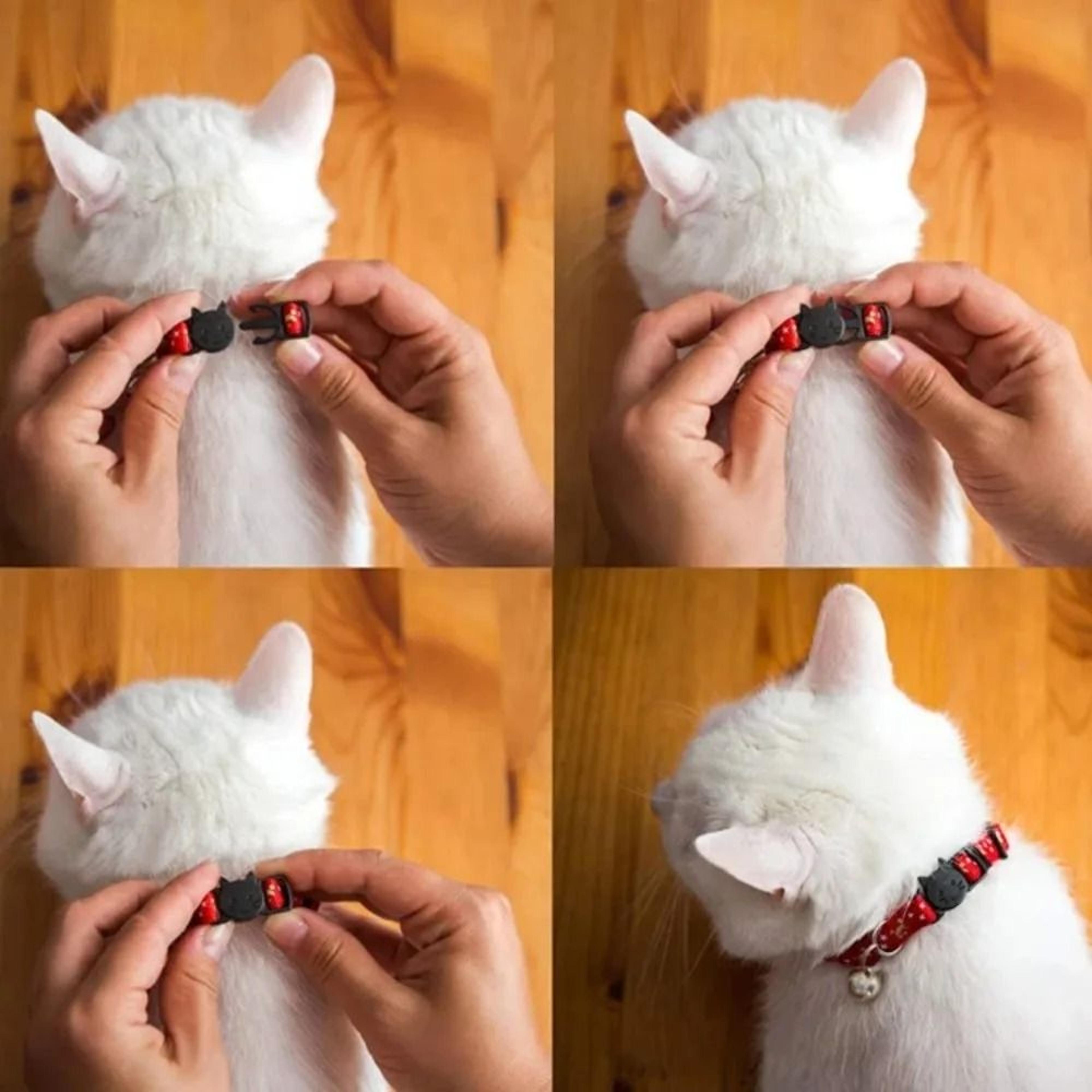 Reflective Star Moon Personalized Cat Collar With Engraved Nameplate Bell For Kitten Safety 11