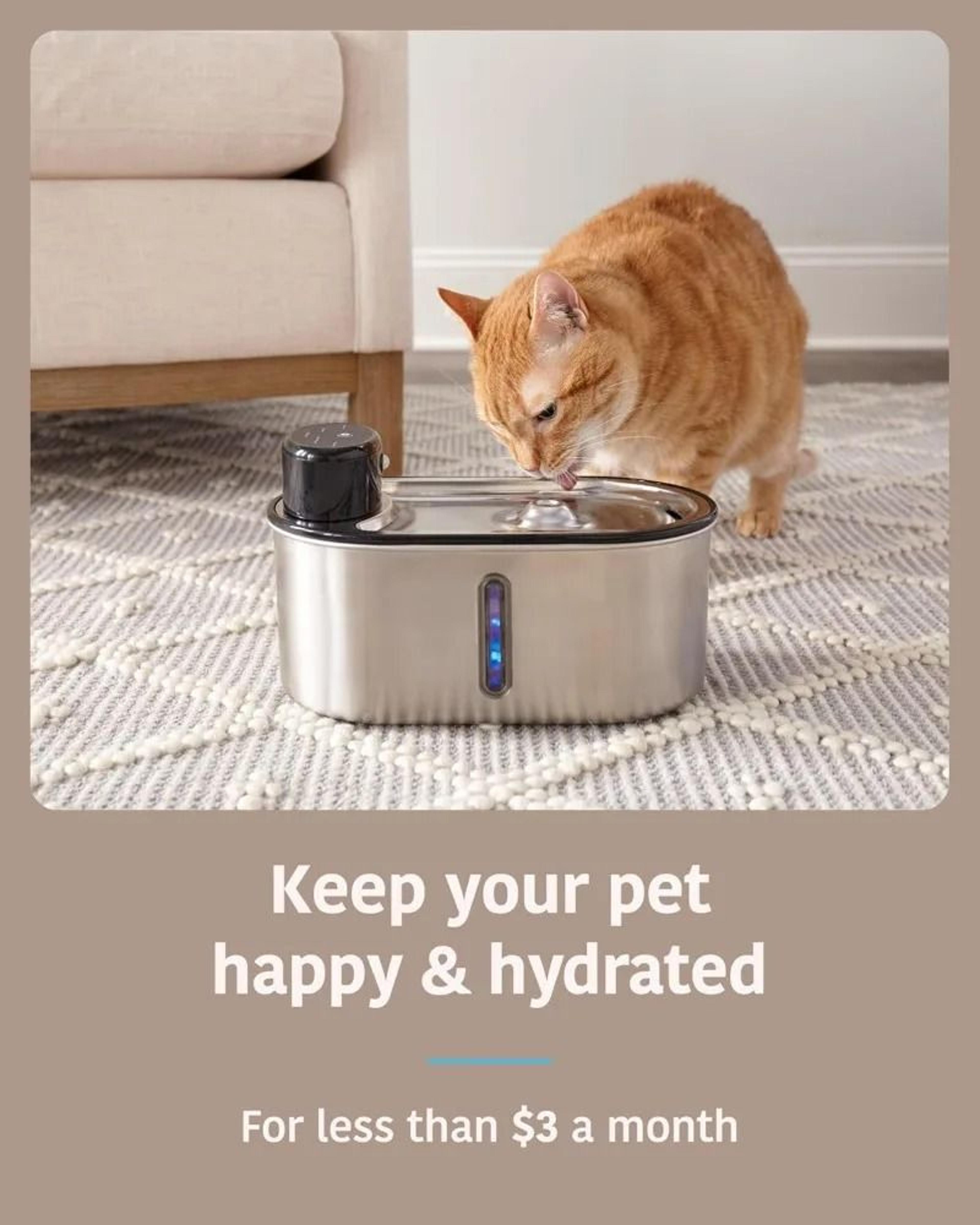 Activated Carbon Resin Cat Water Fountain Filter Element For Cleaner Dog Cat Dispenser Water 3