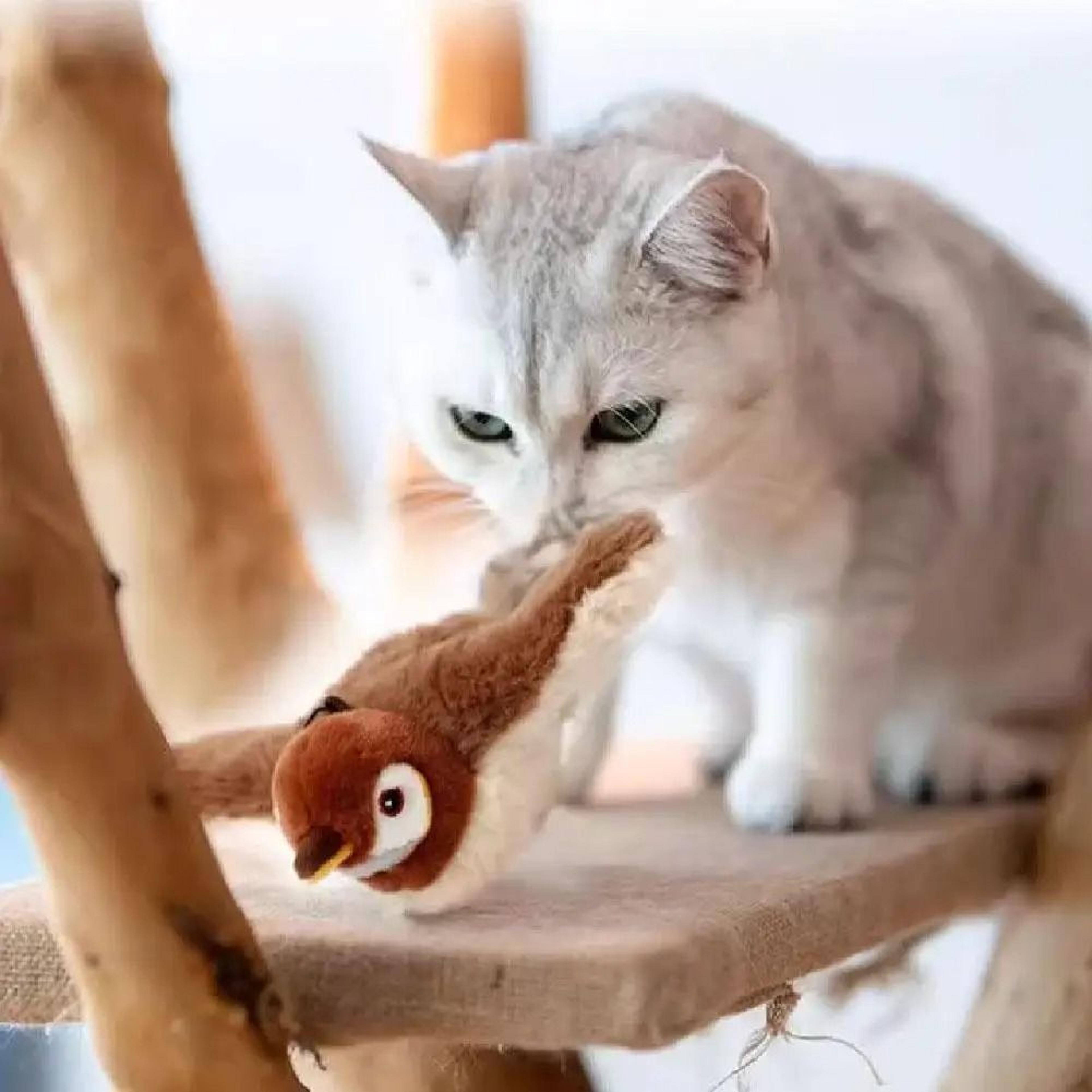 Rechargeable Chirping Bird Cat Toy With Flapping Wings And Catnip 6