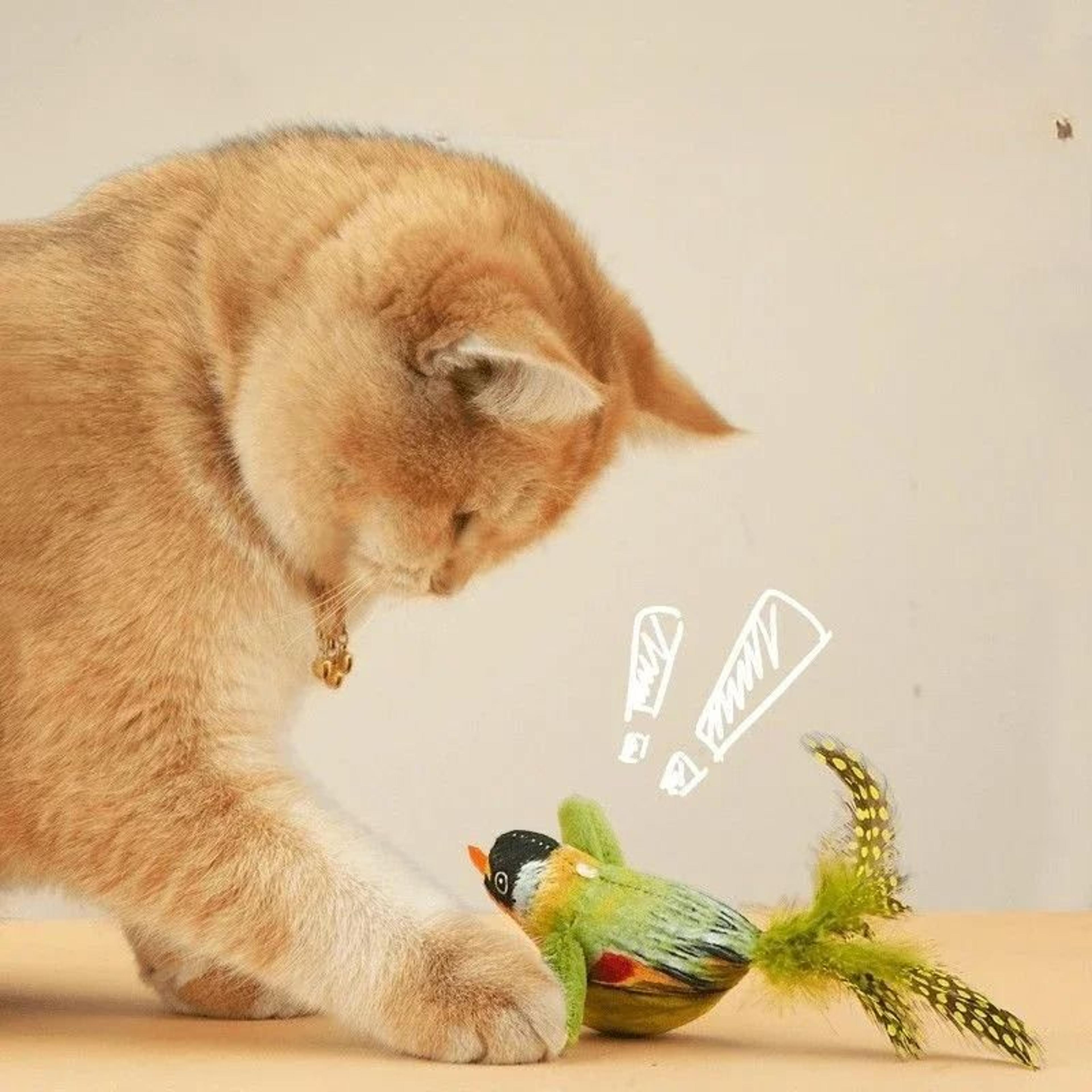 Wall Hanging Bird Cat Toy With Sound And Catnip 7