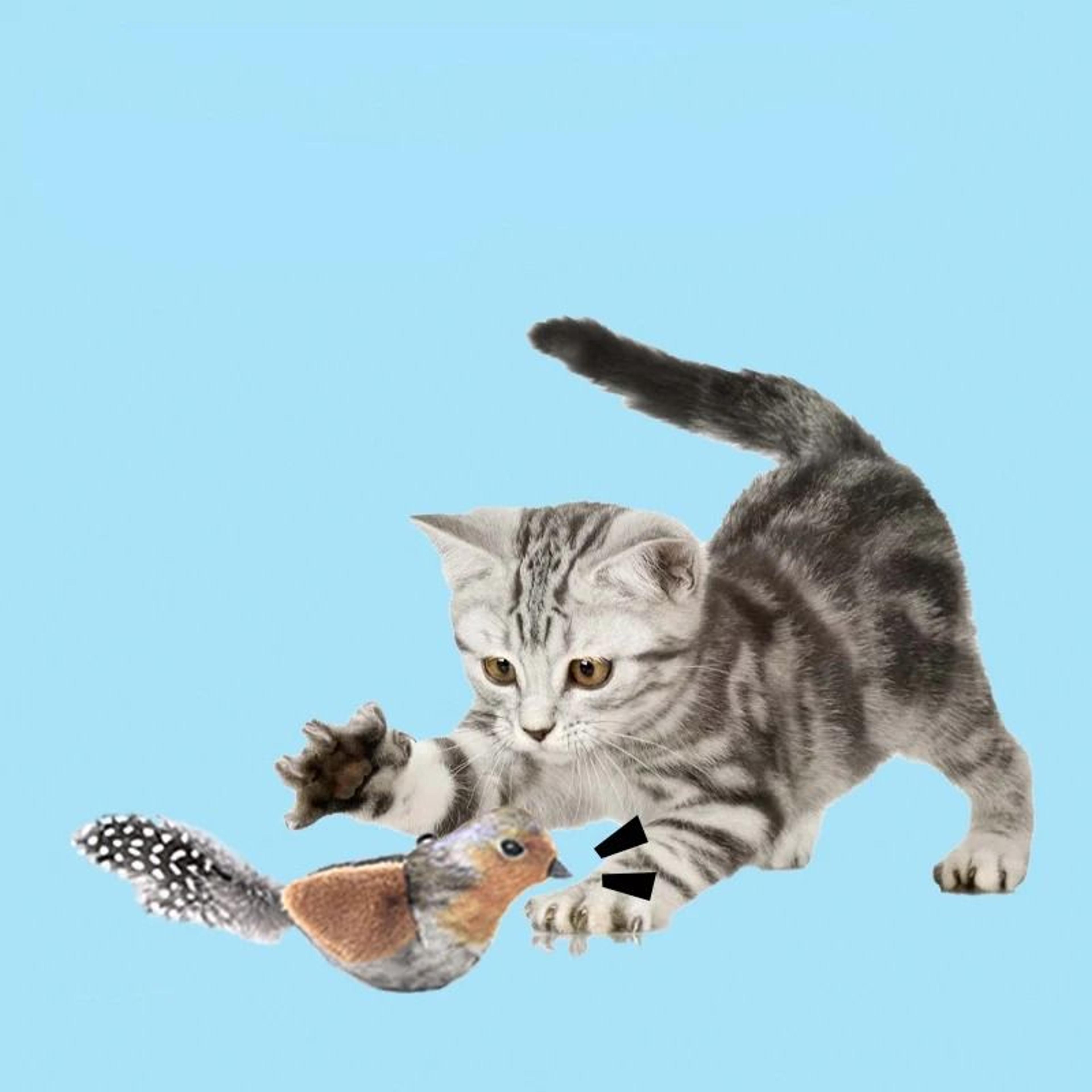 Lifelike Catnip Bird Cat Toy With Feather For Kitten Teasing And Indoor Play 8