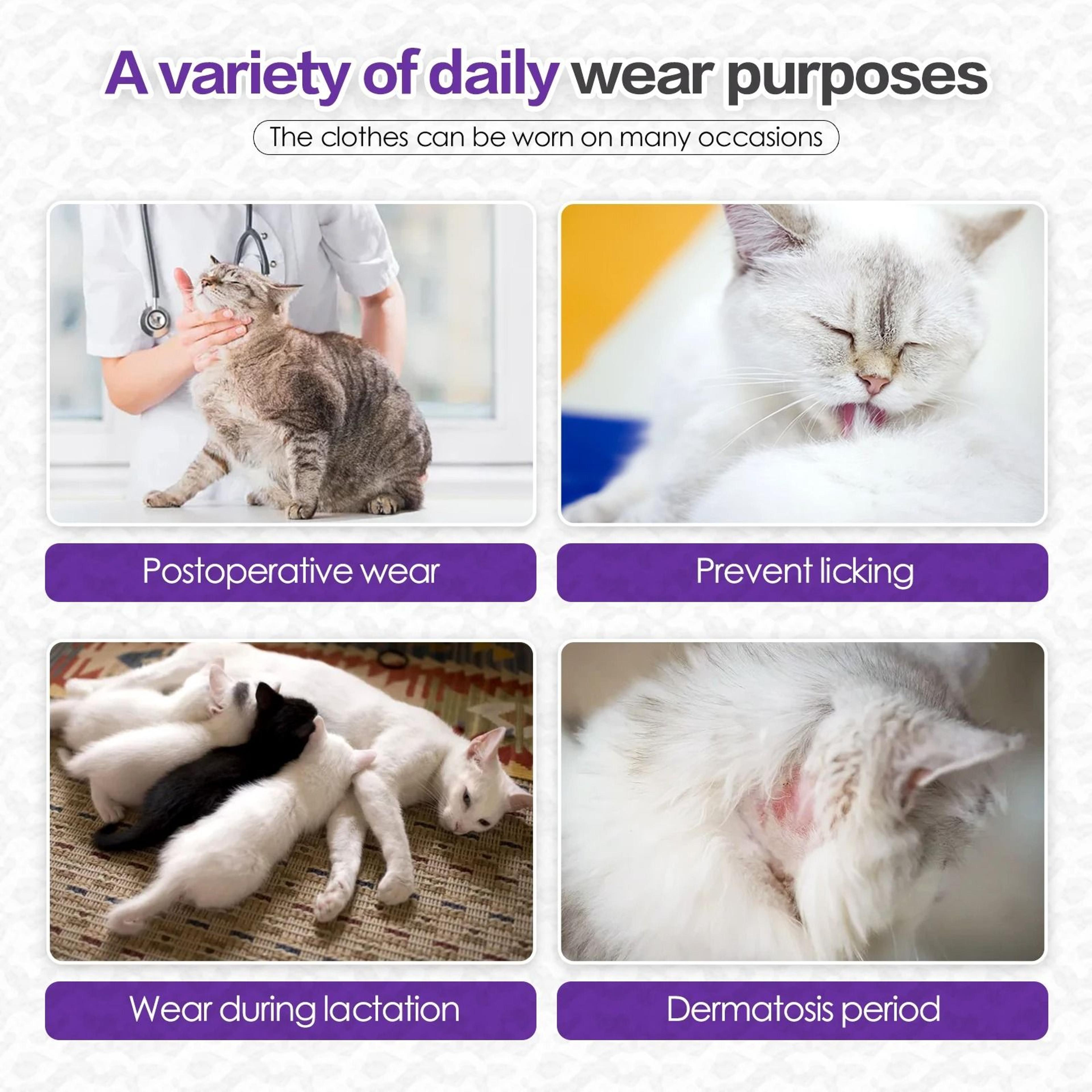 Professional Cat Recovery Suit For Abdominal Wounds And Cone Alternative Post Surgery Care 4