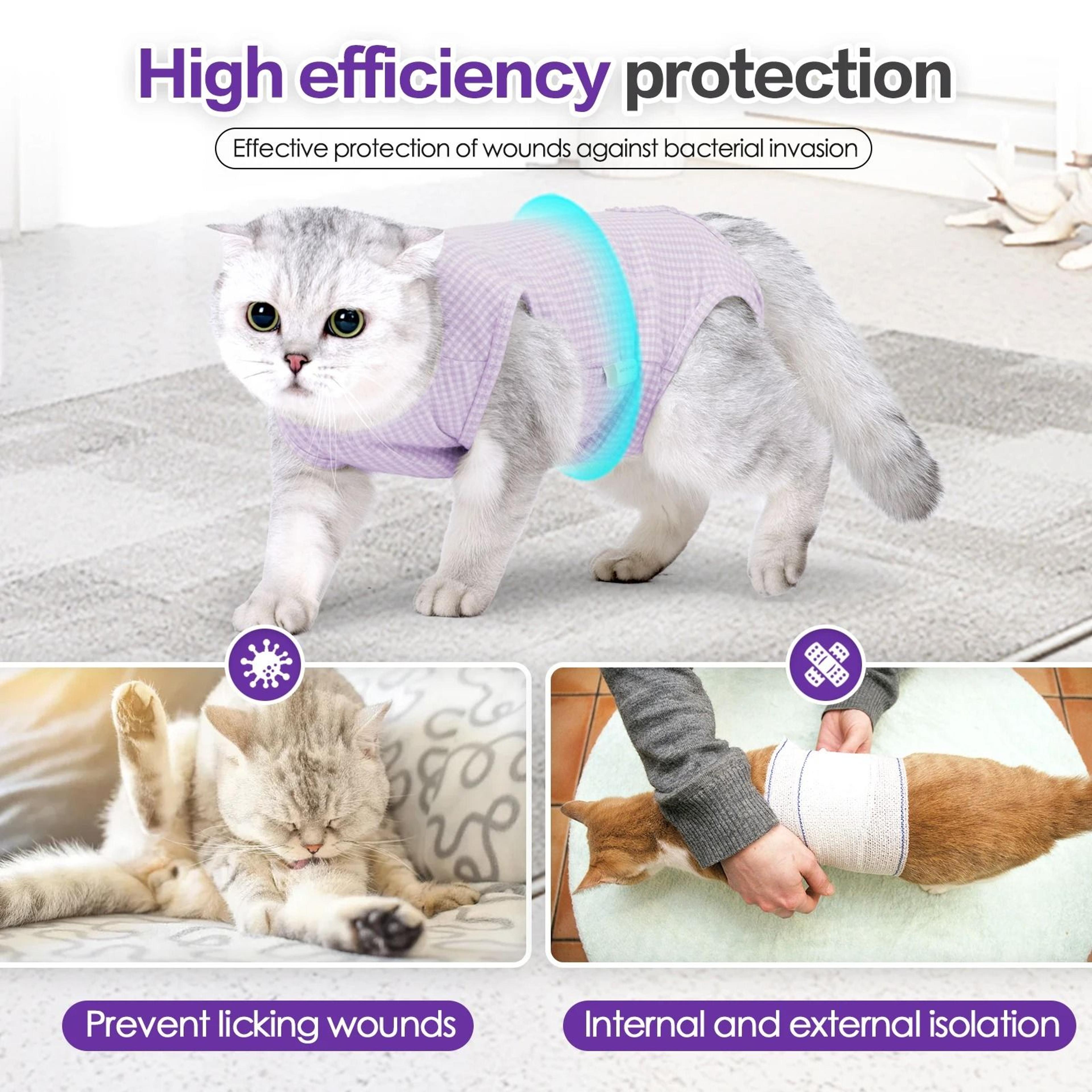 Professional Cat Recovery Suit For Abdominal Wounds And Cone Alternative Post Surgery Care 6