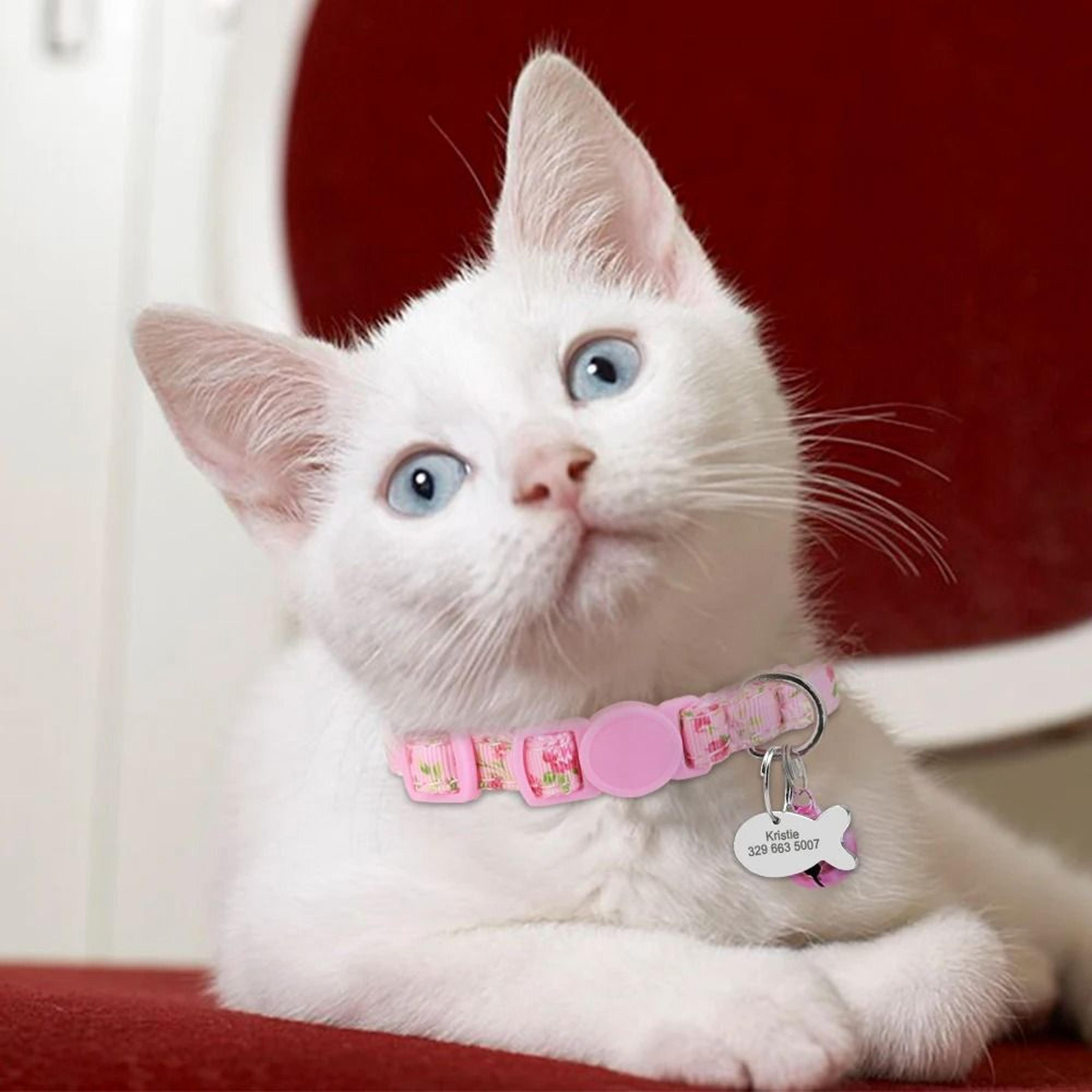 Personalized Adjustable Nylon Cat Collar With Engraved ID Tag For Kittens Puppies And Small Pets 9