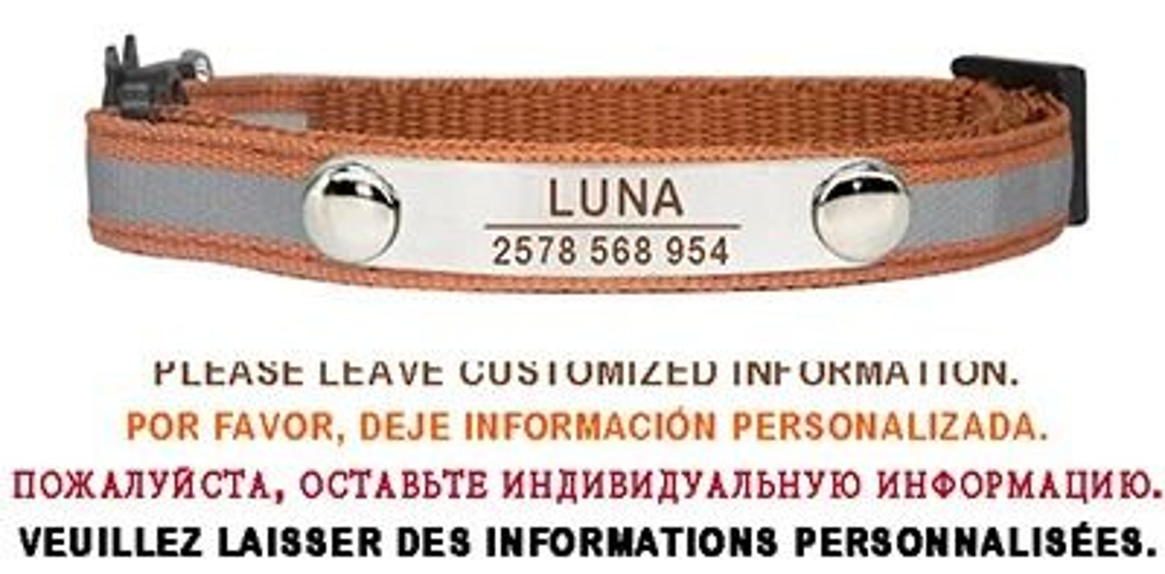 Personalized Reflective Cat Collar Engraved Adjustable Safety Buckle With Bell For Kittens 7