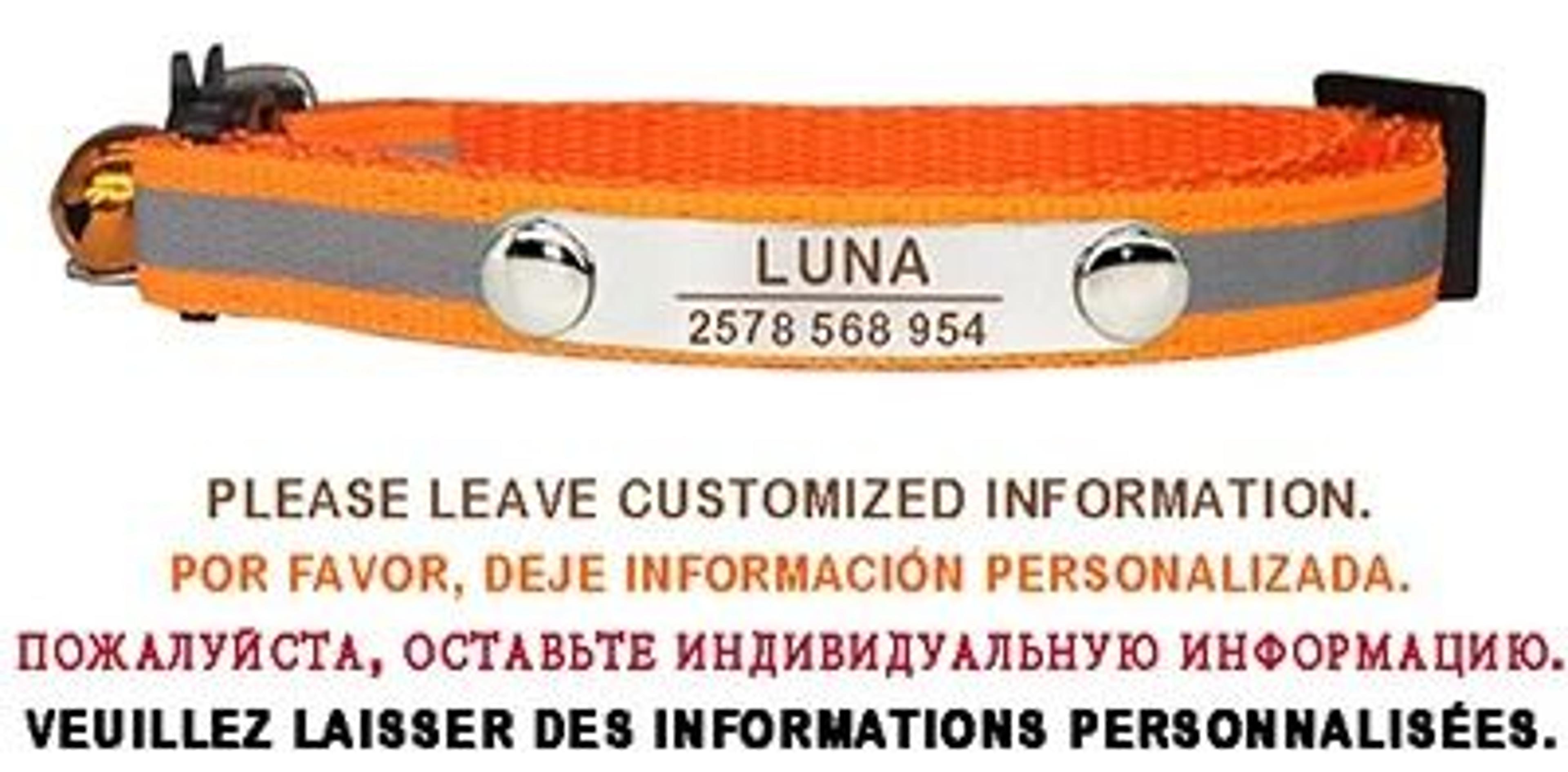 Personalized Reflective Cat Collar Engraved Adjustable Safety Buckle With Bell For Kittens 10