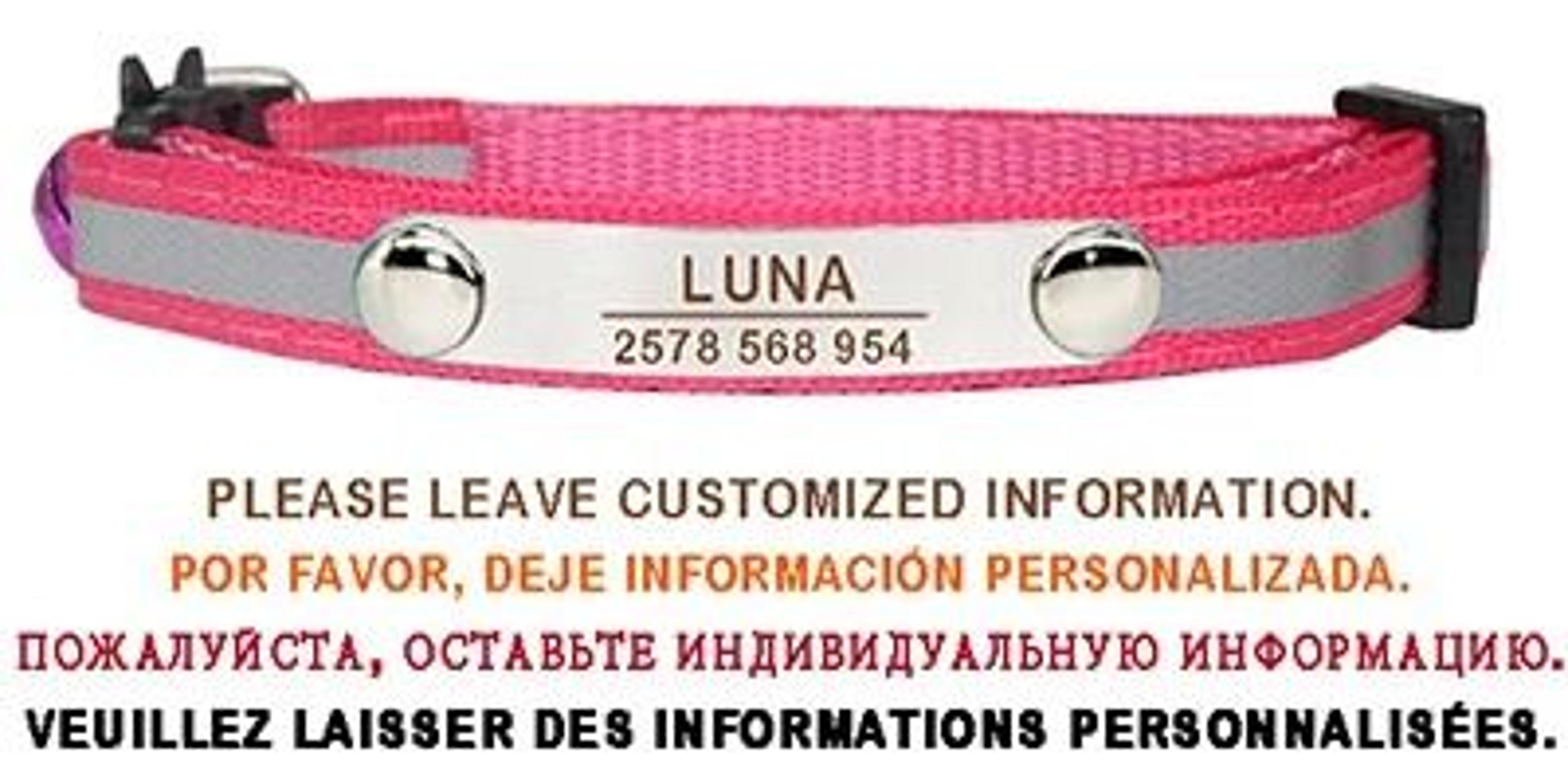 Personalized Reflective Cat Collar Engraved Adjustable Safety Buckle With Bell For Kittens 8