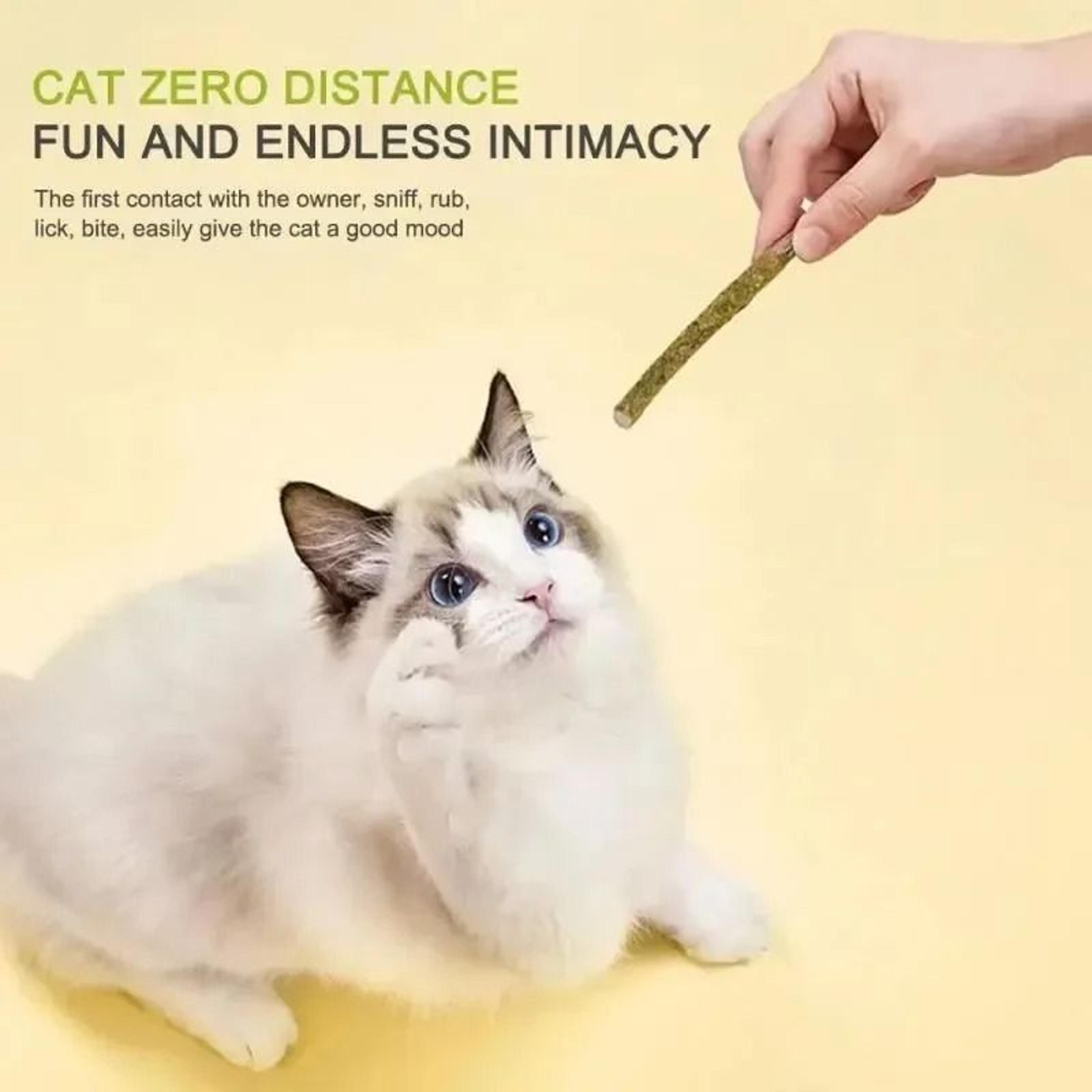 Natural Matatabi Cat Sticks Silvervine Chew Toy For Teeth Cleaning And Play 12