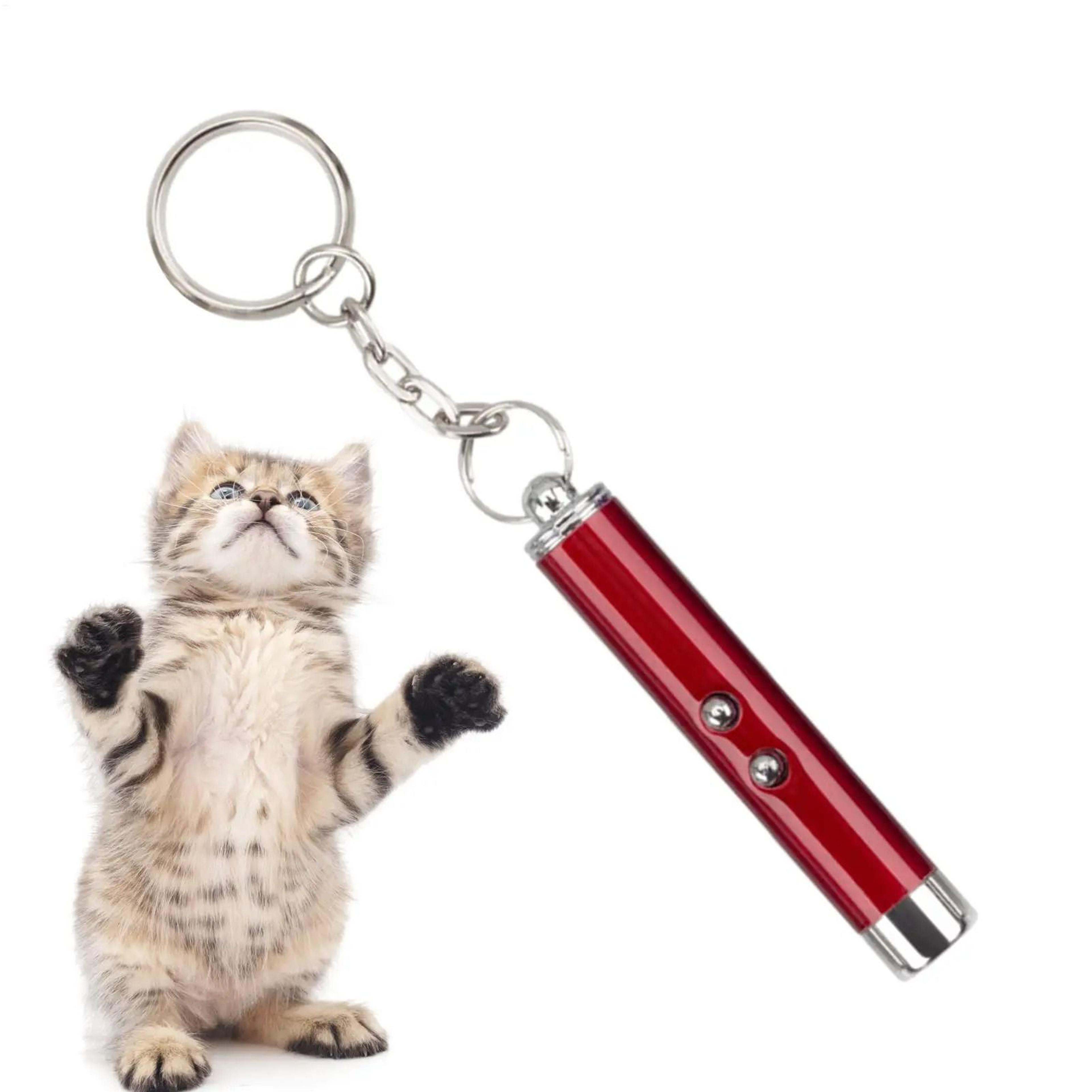 Laser Pointer For Cats Interactive Light Toy For Kitten Exercise And Indoor Play 10