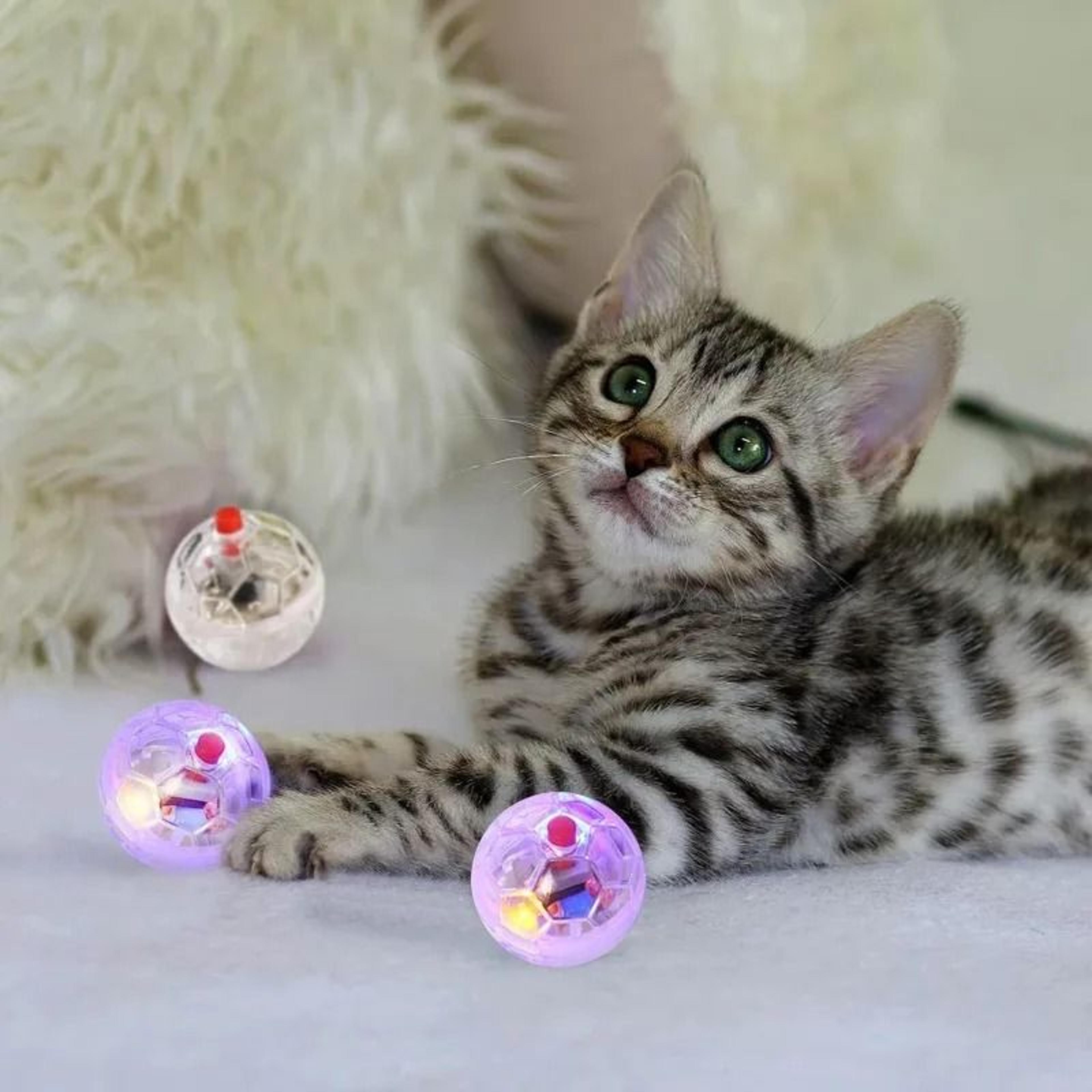 Touch Activated LED Cat Ball Toy For Kitten Puppy Exercise And Play 5