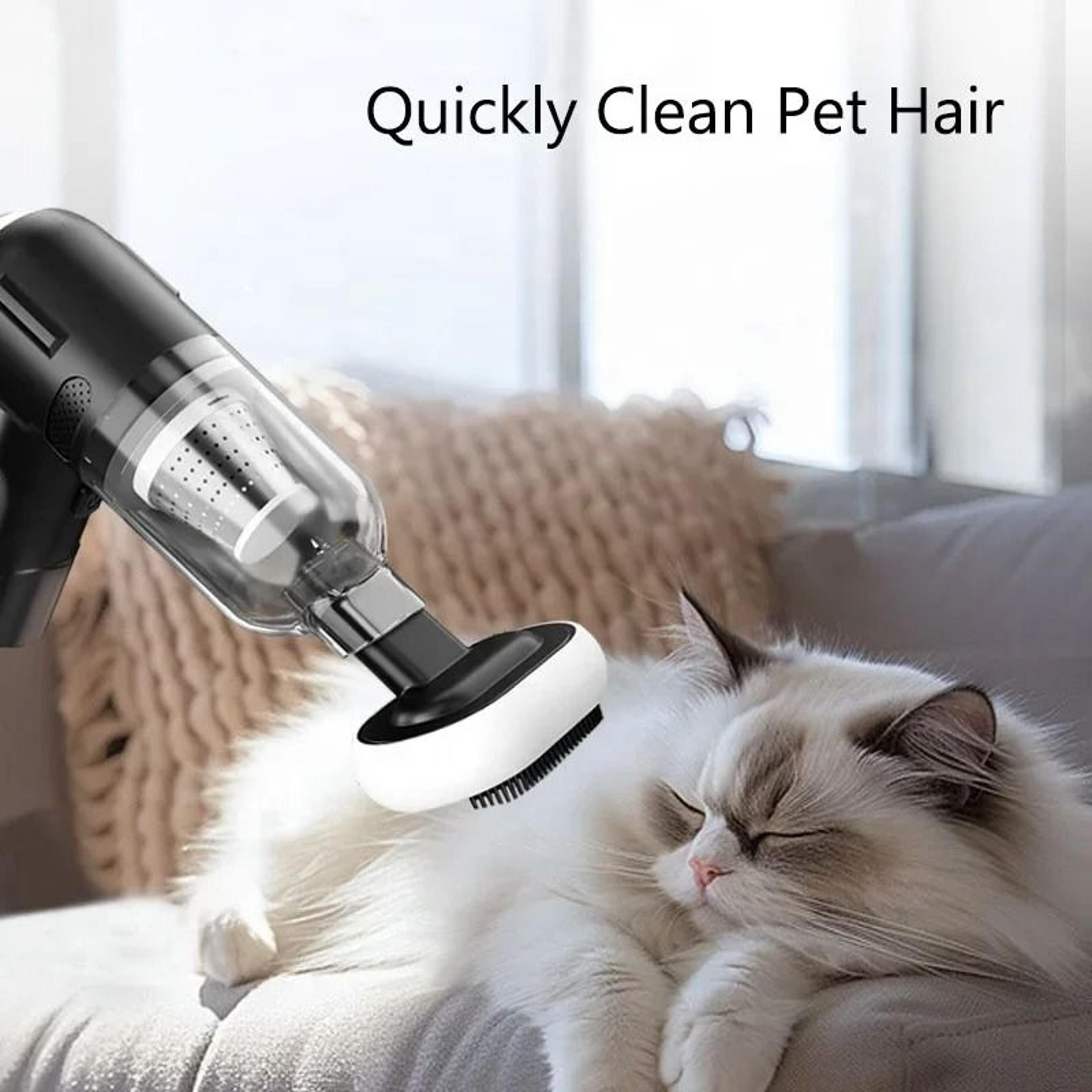 Rechargeable Pet Hair Vacuum Grooming Tool With Anti Tangle Wireless Suction 6