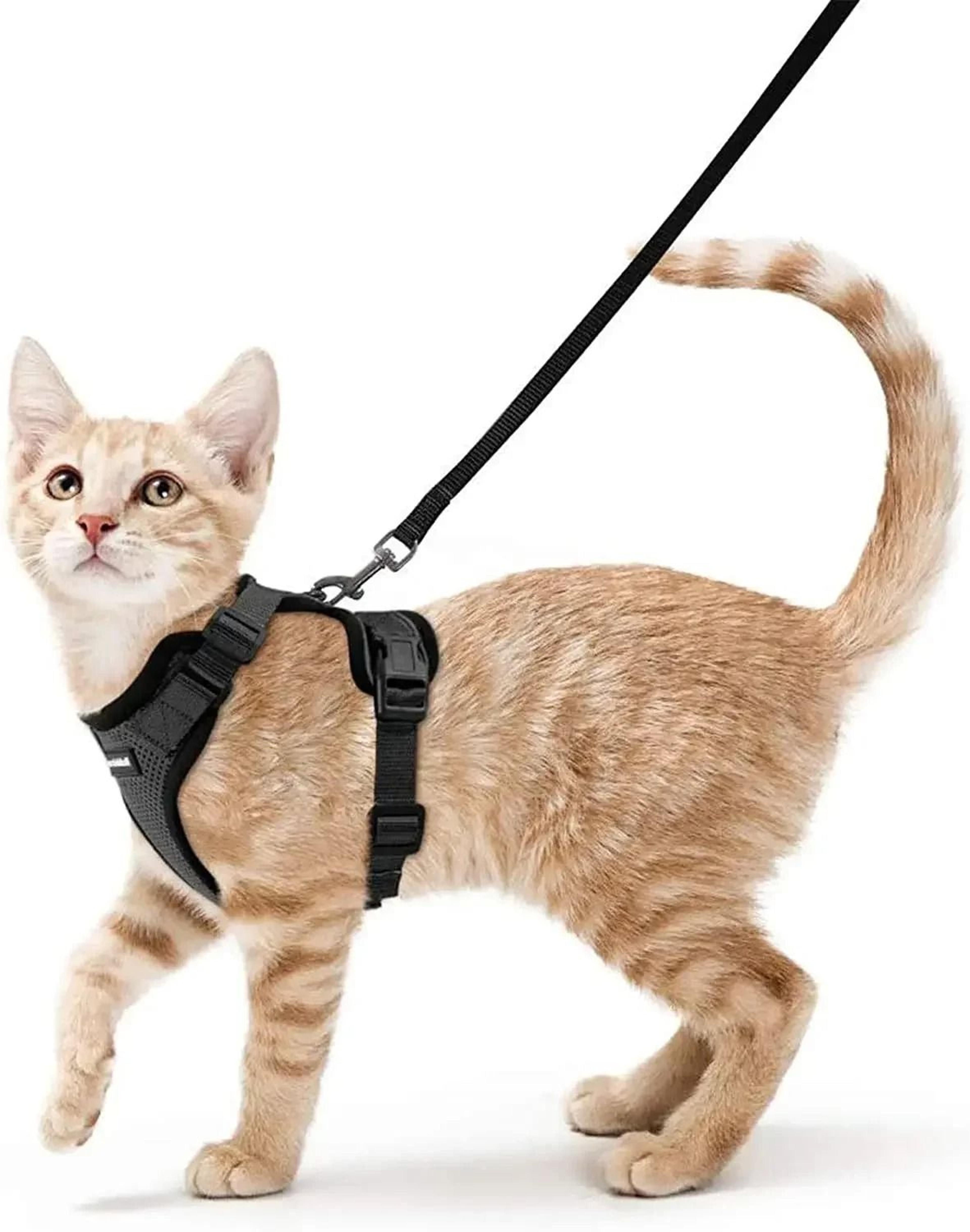 Escape Proof Cat Harness And Leash Soft Adjustable Reflective Vest For Safe Outdoor Walking 4