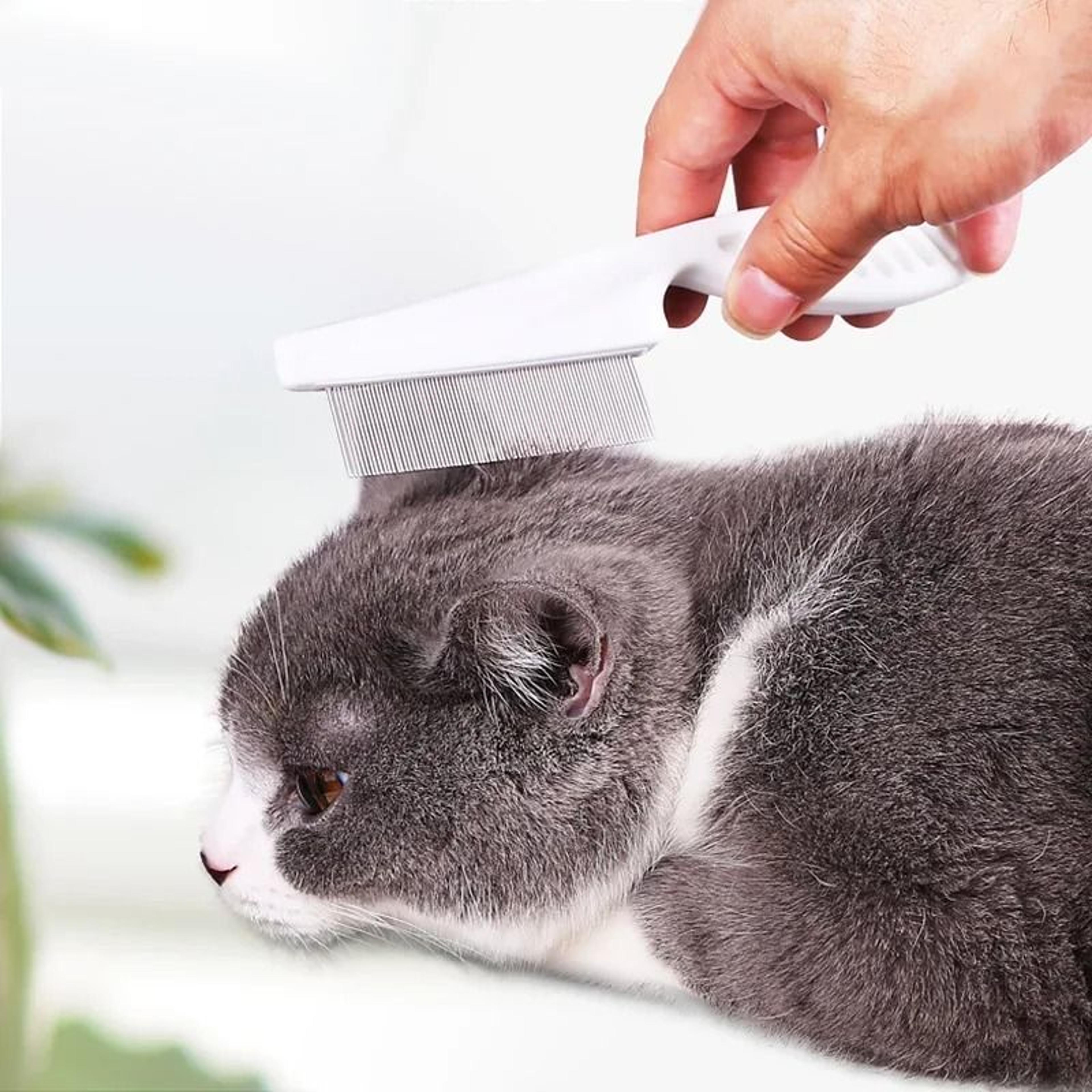 Stainless Steel Pet Flea Comb Hair Shedding Grooming Tool For Cats And Dogs 5