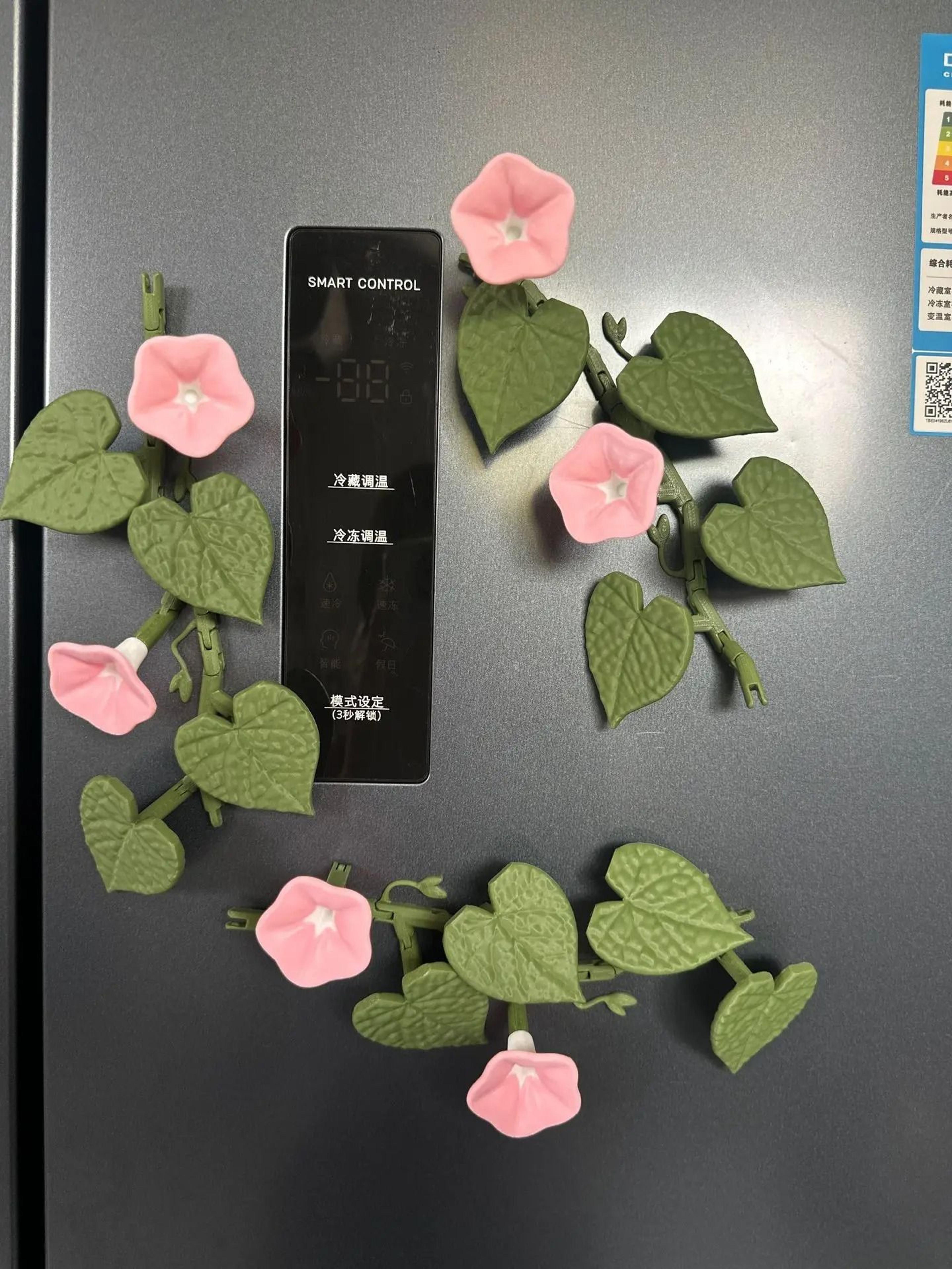 BloomVine 3D Morning Glory Fridge Magnets 6