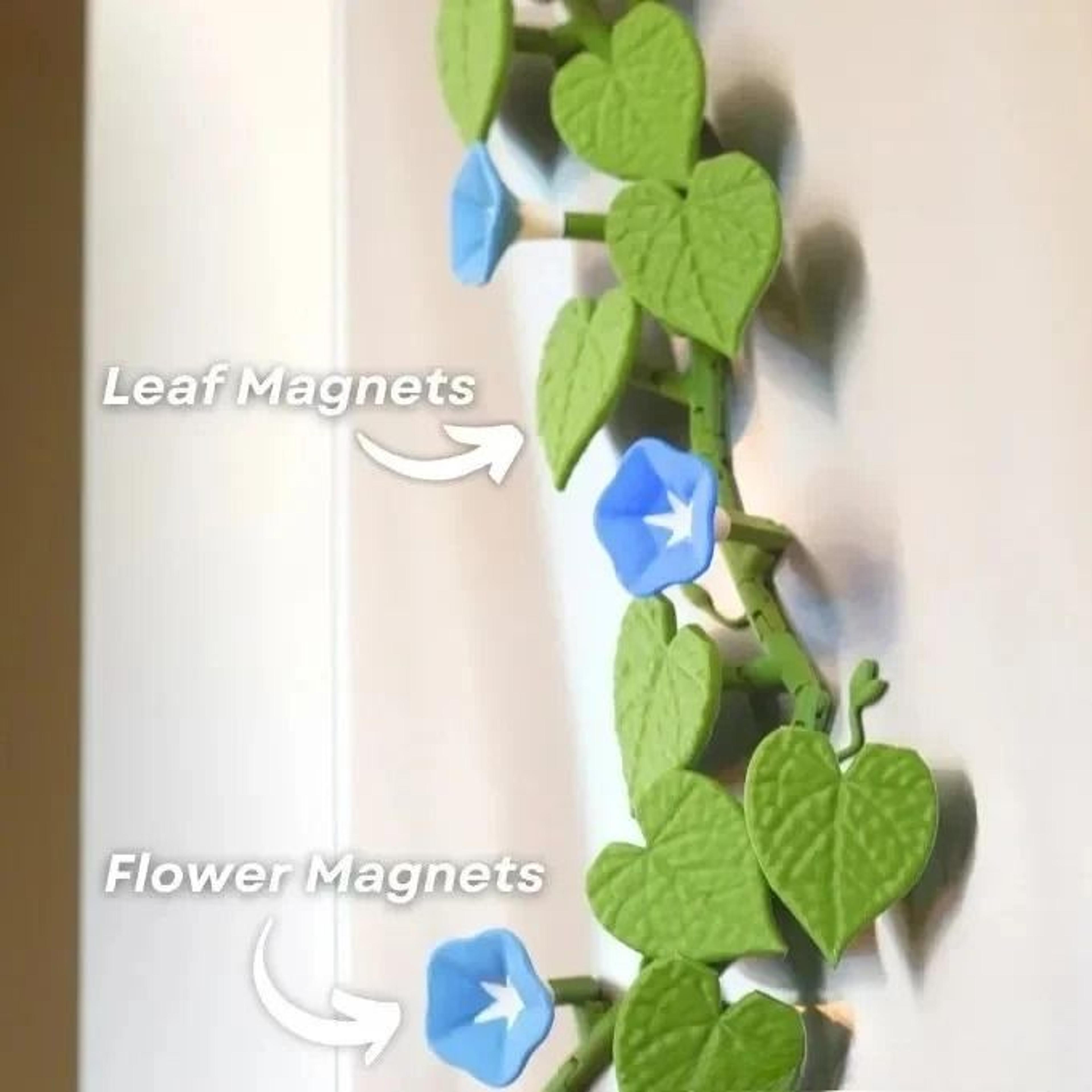 BloomVine 3D Morning Glory Fridge Magnets 8