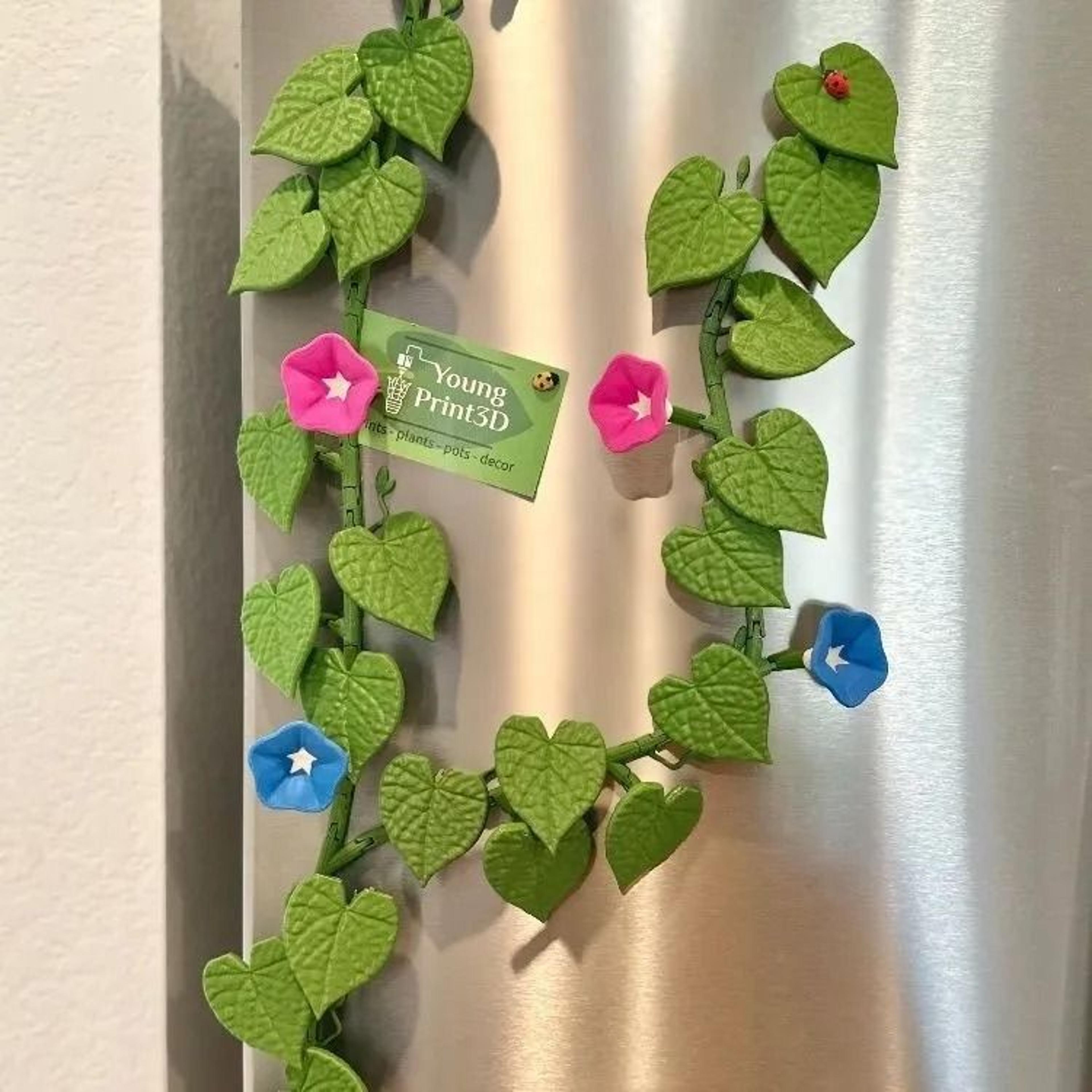 BloomVine 3D Morning Glory Fridge Magnets 10