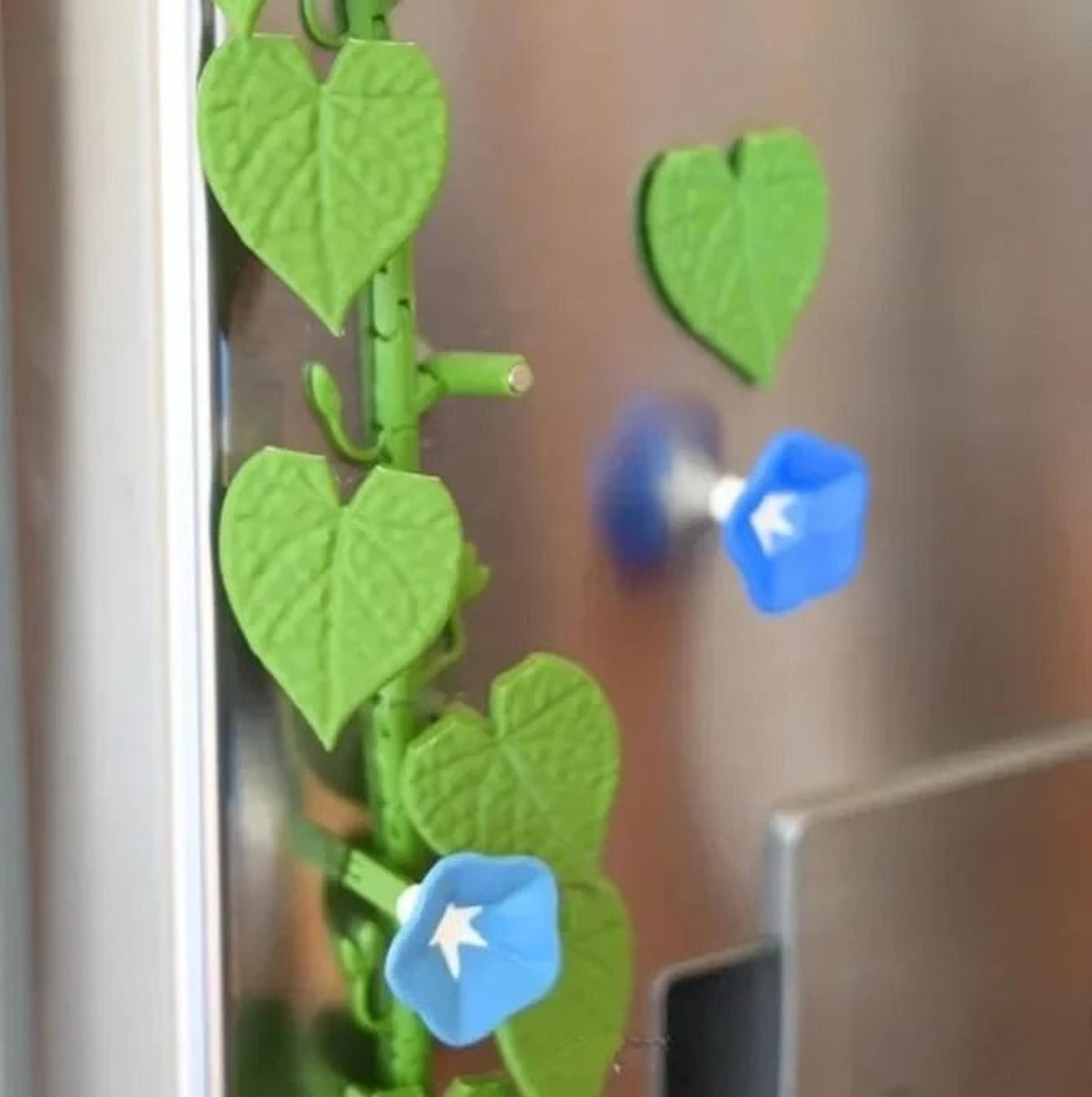 BloomVine 3D Morning Glory Fridge Magnets 11