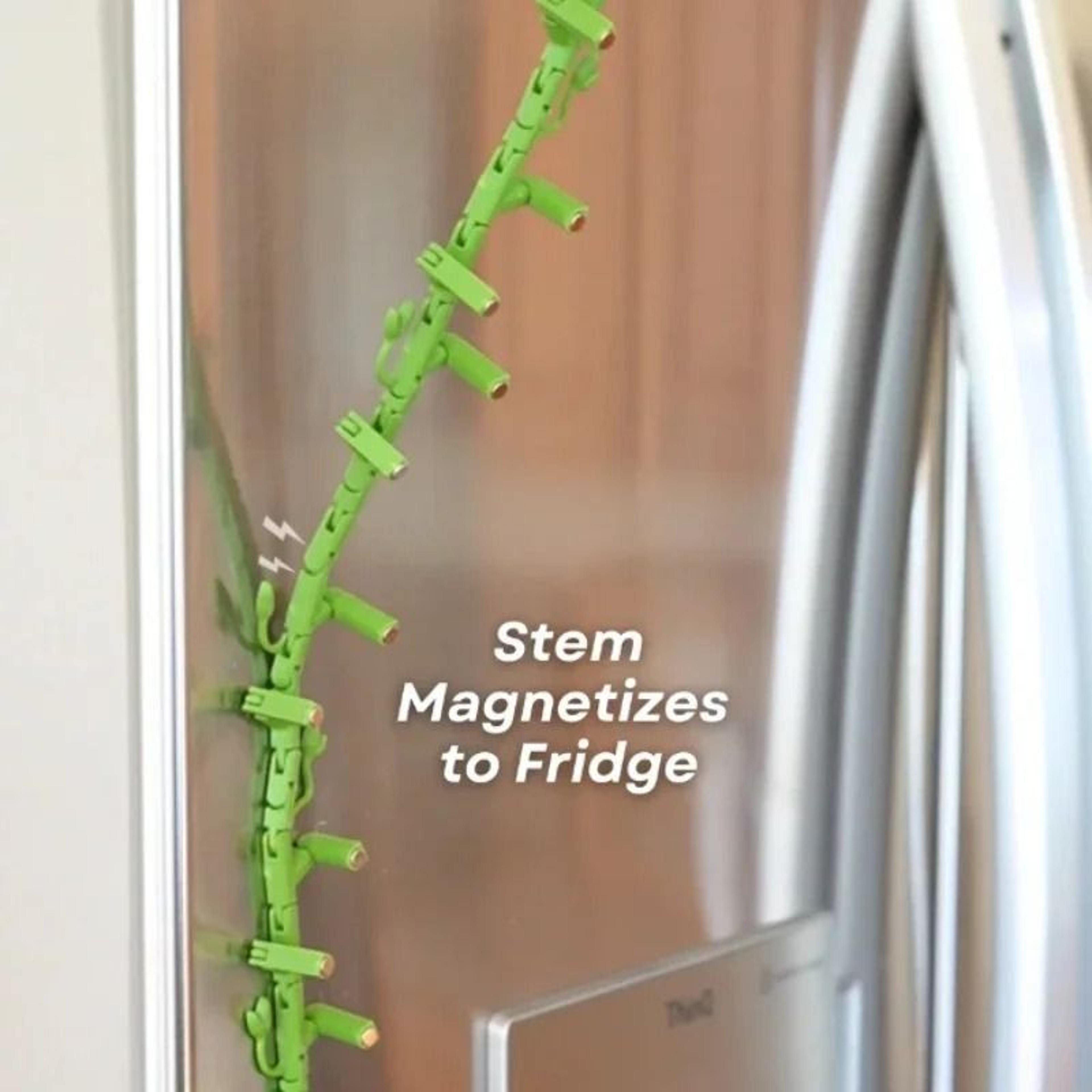 BloomVine 3D Morning Glory Fridge Magnets 9